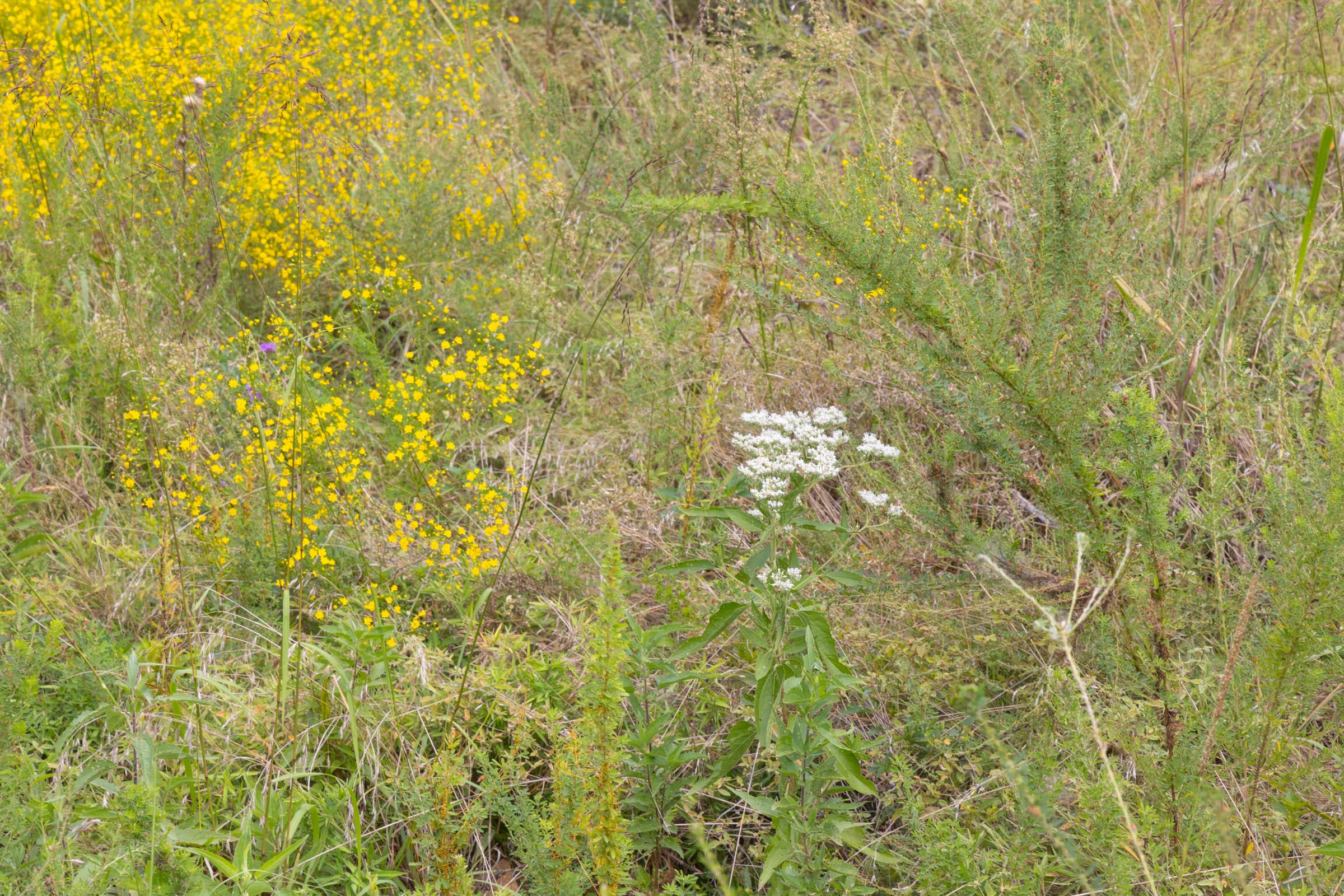 Reserves At Cattail Cove Phase II Tract 47 photo 7