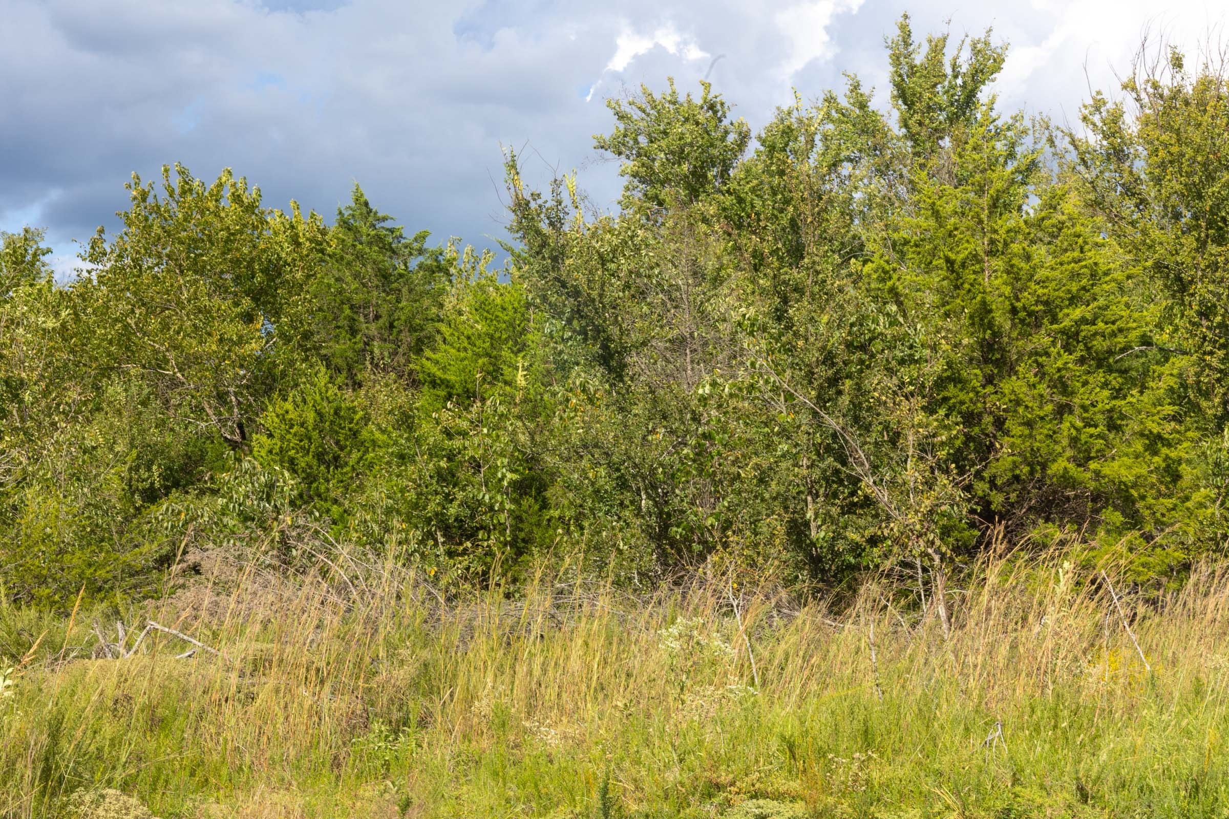 Reserves At Cattail Cove Phase II Tract 47 photo 6