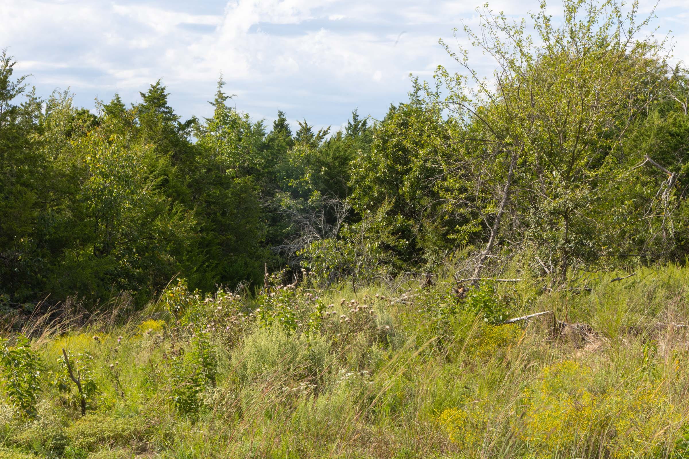 Reserves At Cattail Cove Phase II Tract 47 photo 3