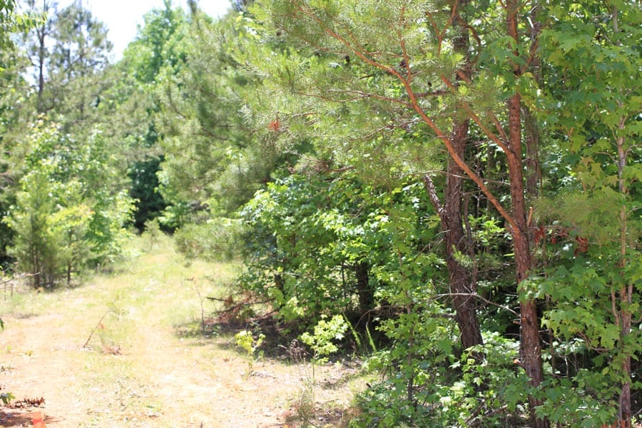 Hickory Hill Ranch Tract 10 photo 2