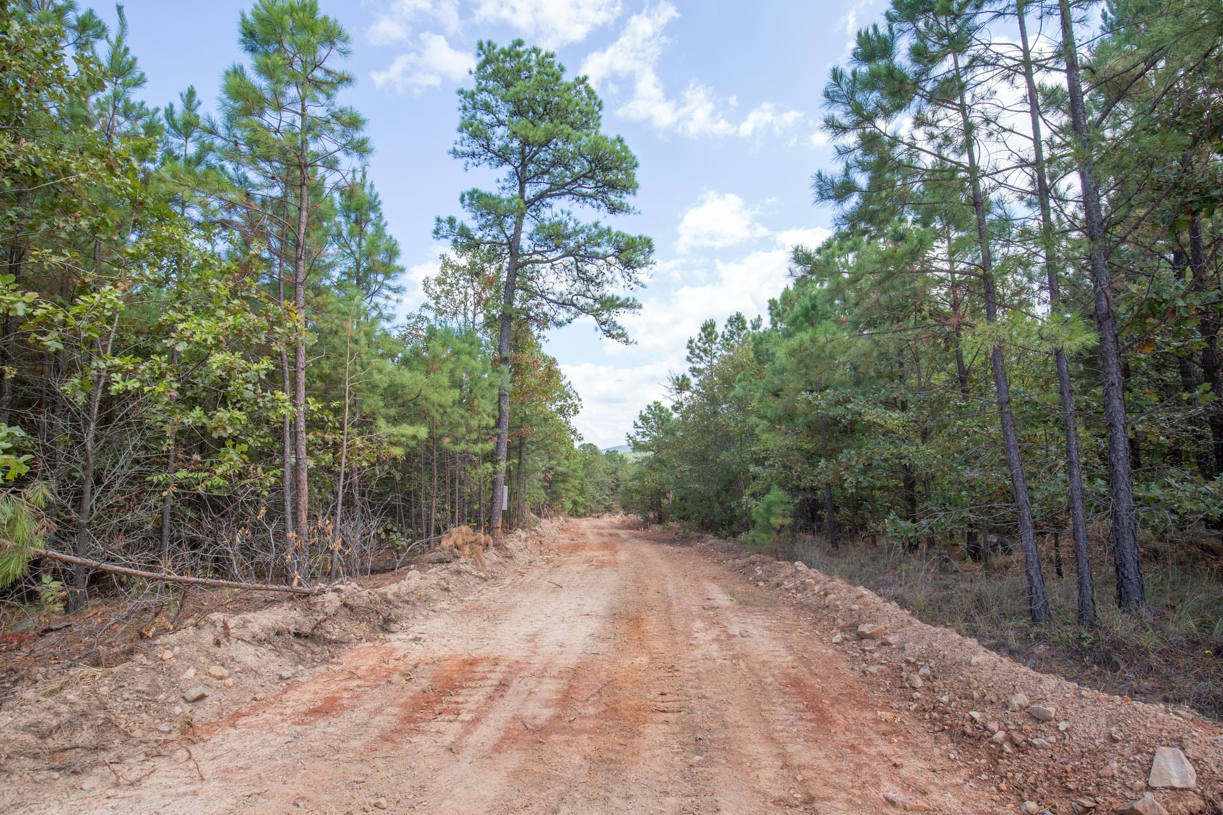 Stone Bridge Phase I Tract 69 photo 9