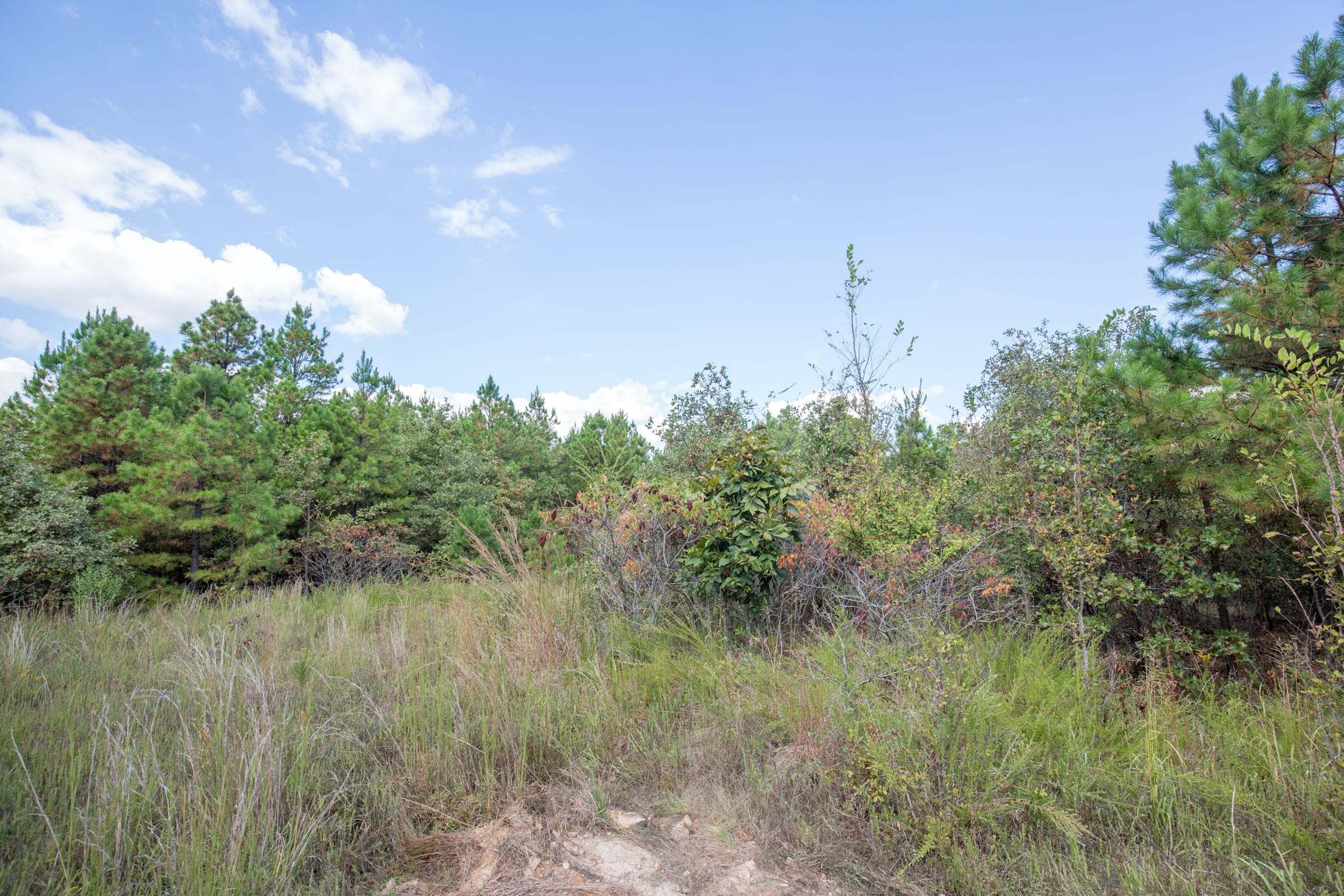 Stone Bridge Phase I Tract 69 photo 10