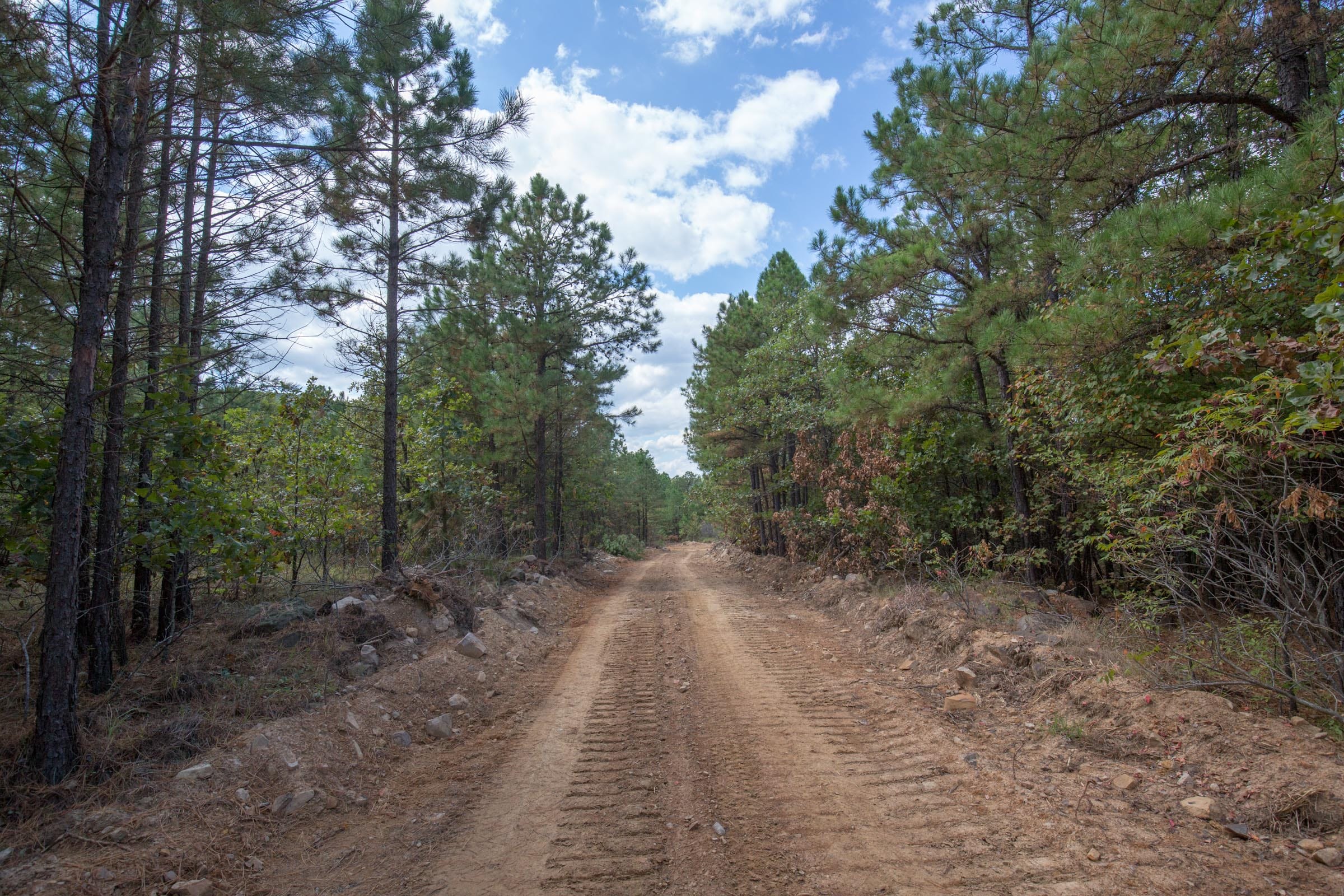Stone Bridge Phase I Tract 69 photo 12