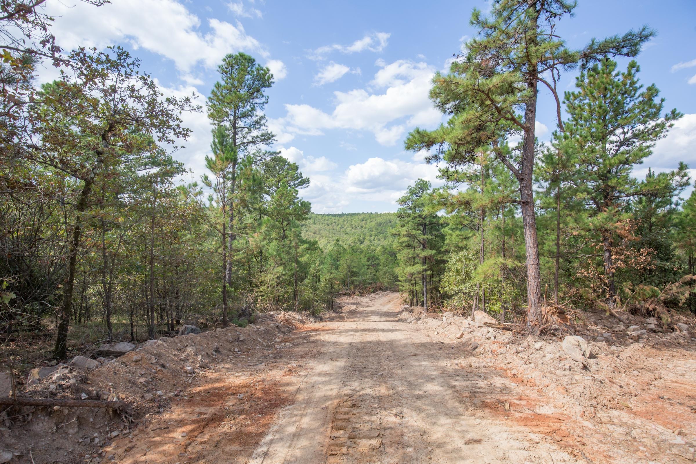 Stone Bridge Phase I Tract 69 photo 16