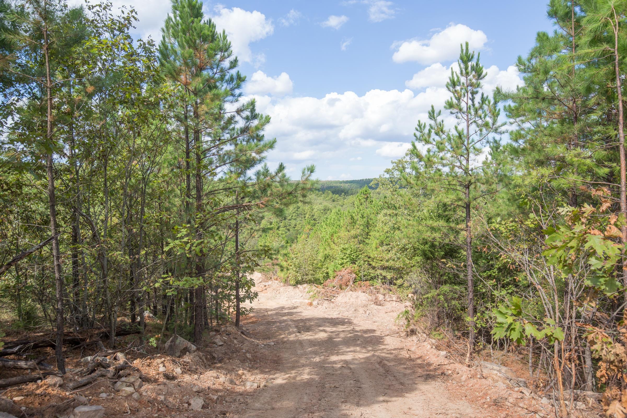 Stone Bridge Phase I Tract 69 photo 17