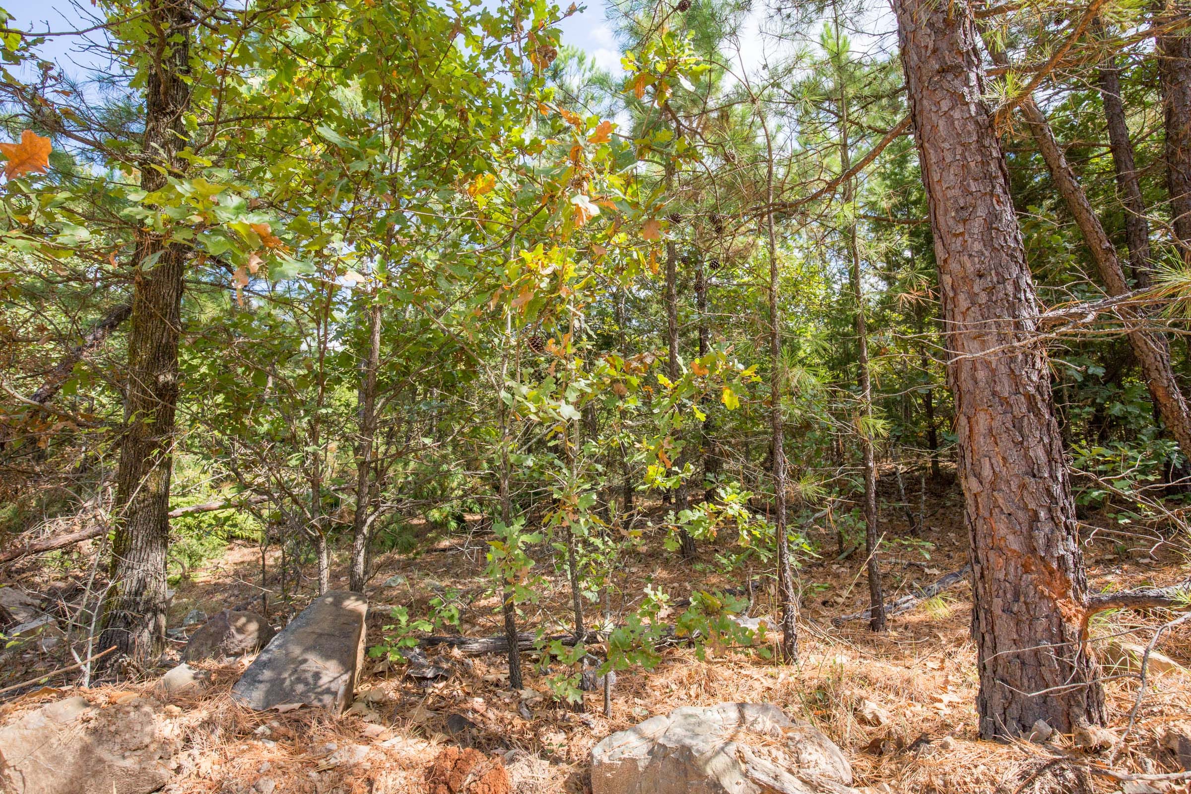Stone Bridge Phase I Tract 69 photo 19