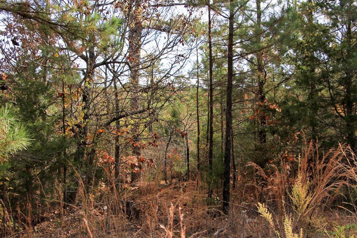 Stone Creek Phase III Tract 1 photo 3