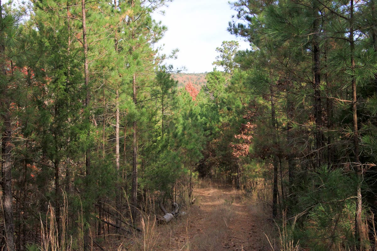 Stone Creek Phase III Tract 1 photo 4