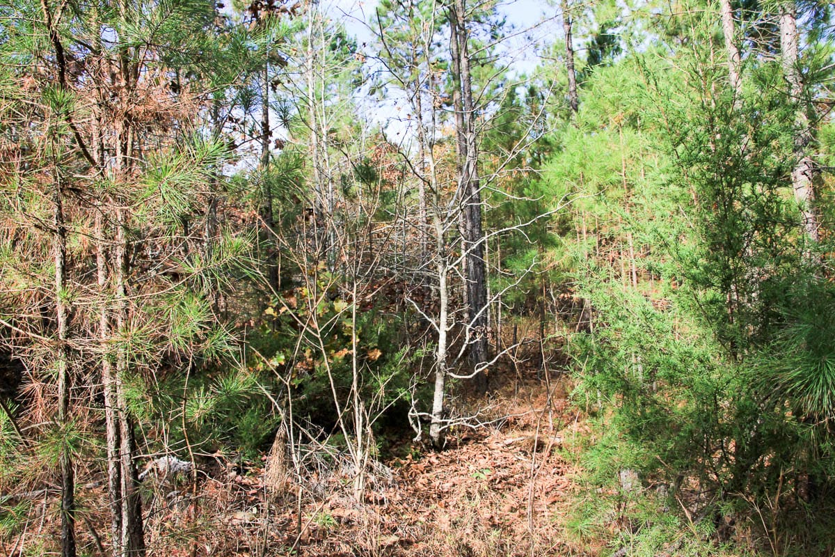 Stone Creek Phase III Tract 1 photo 8
