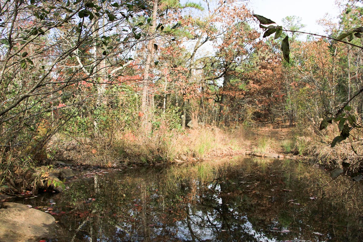Stone Creek Phase III Tract 1 photo 10