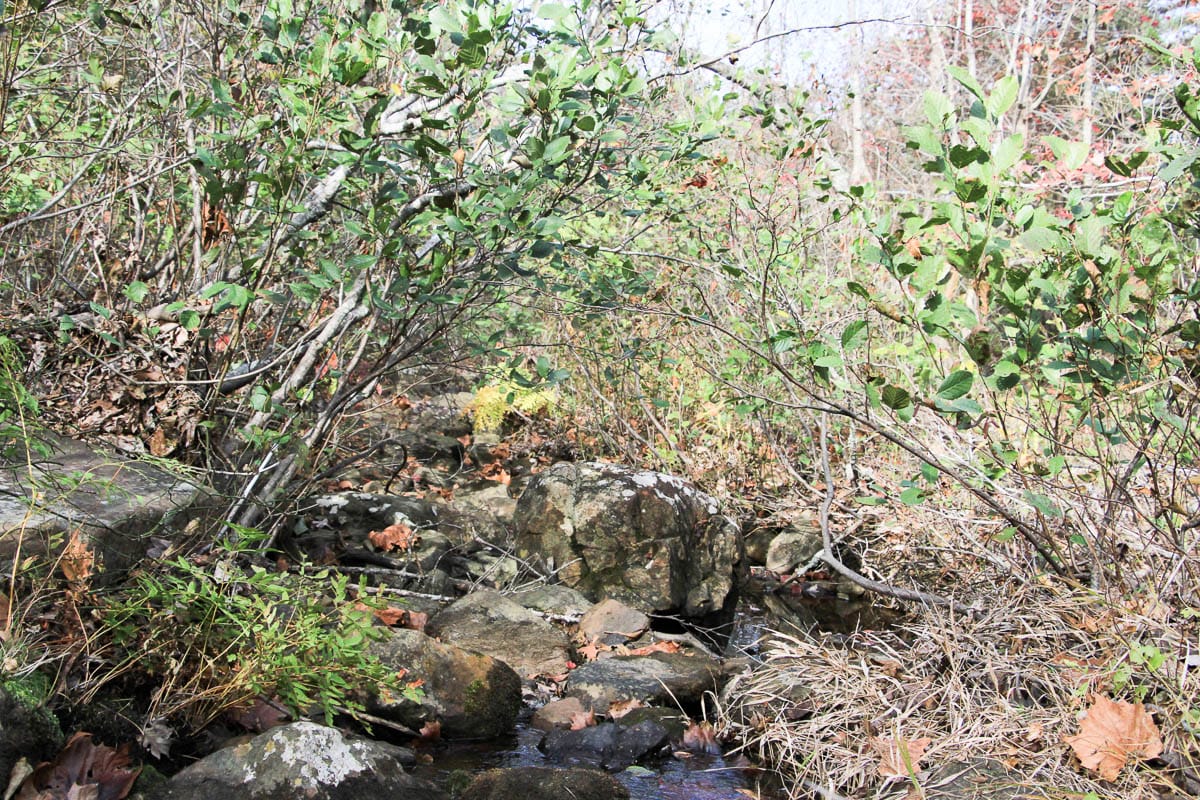 Stone Creek Phase III Tract 1 photo 12