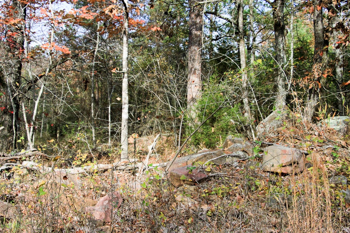 Stone Creek Phase III Tract 1 photo 13