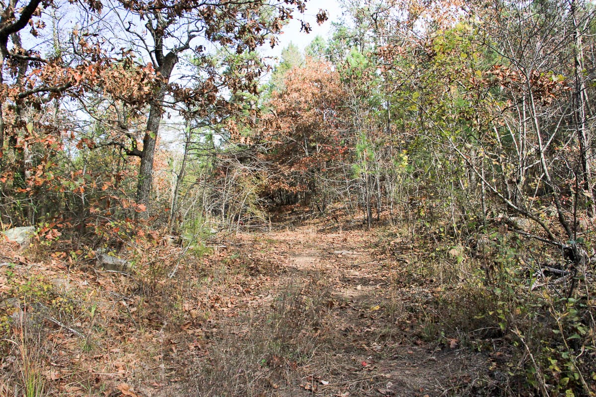 Stone Creek Phase III Tract 1 photo 14