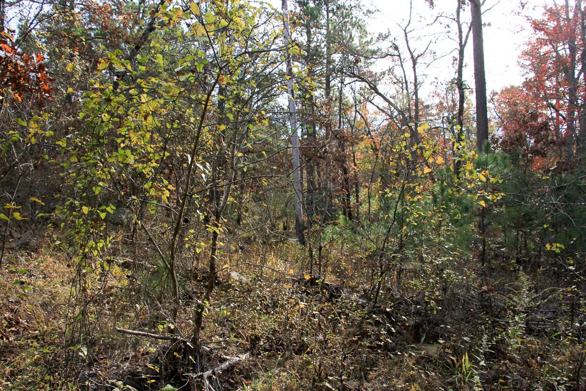 Stone Creek Phase III Tract 1 photo 15