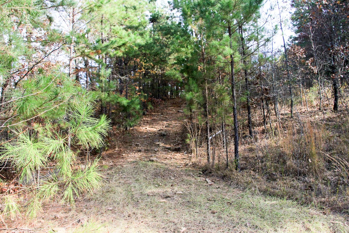 Stone Creek Phase III Tract 1 photo 16