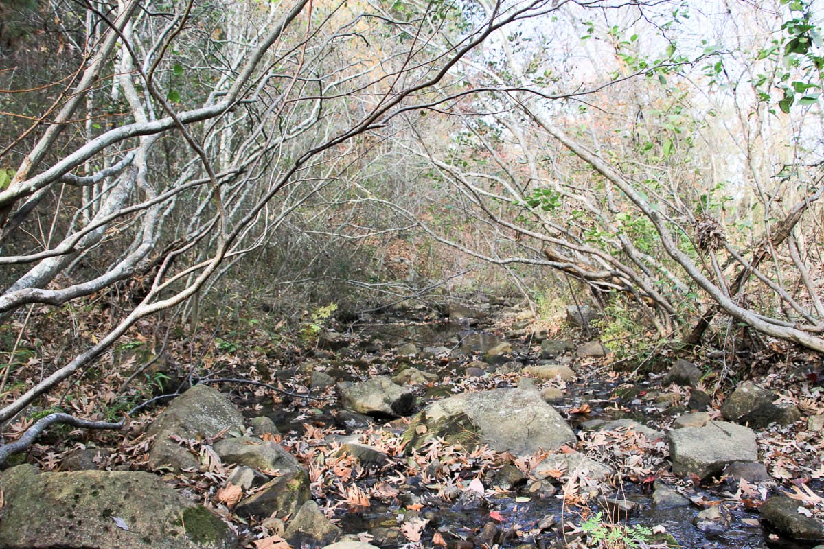 Stone Creek Phase III Tract 1 photo 18