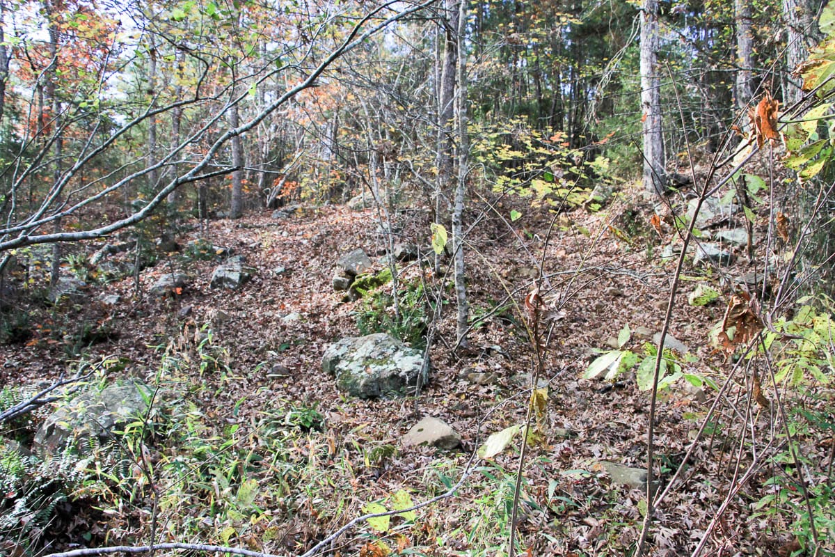 Stone Creek Phase III Tract 1 photo 19