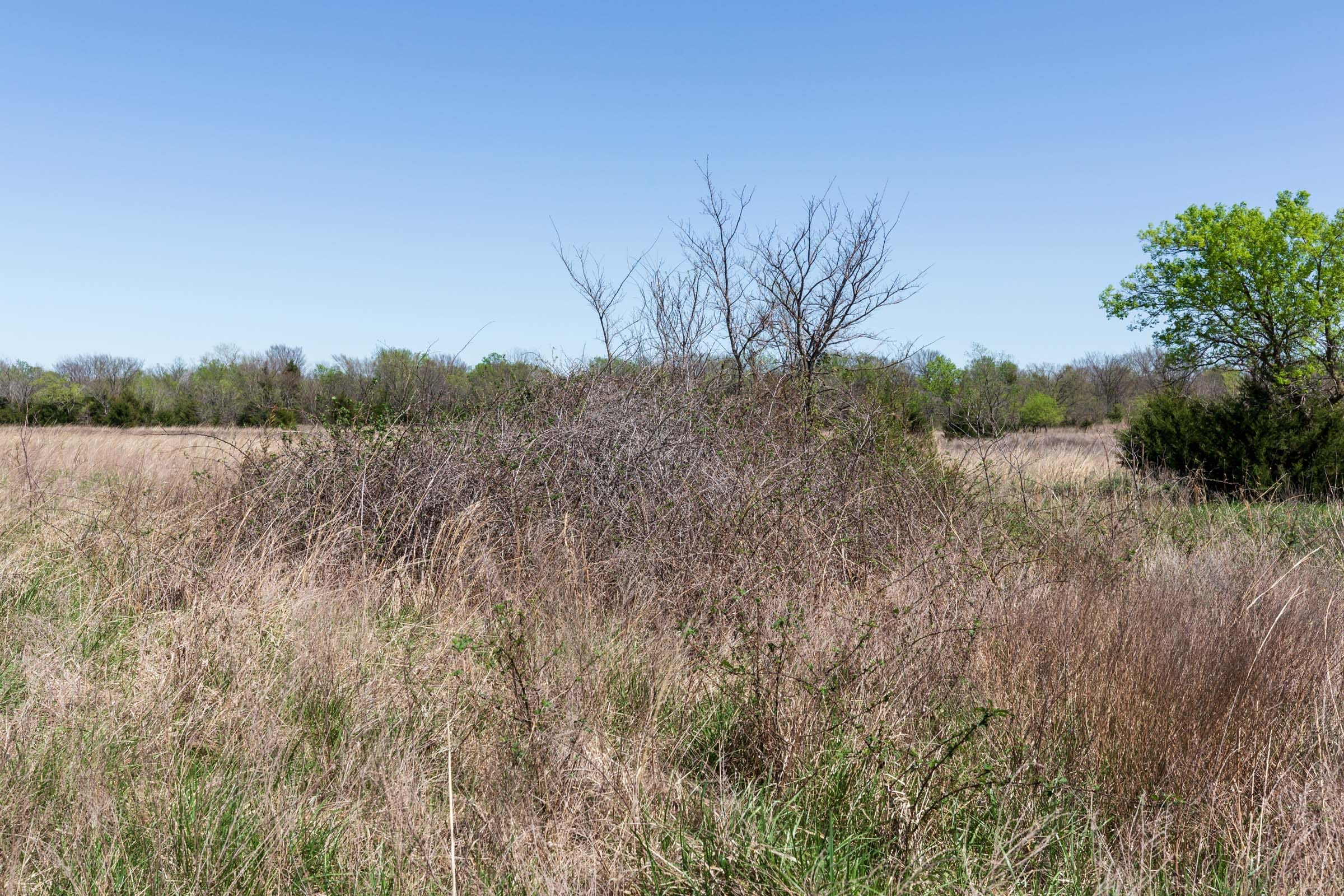 Prairie Grove Tract 24 photo 3