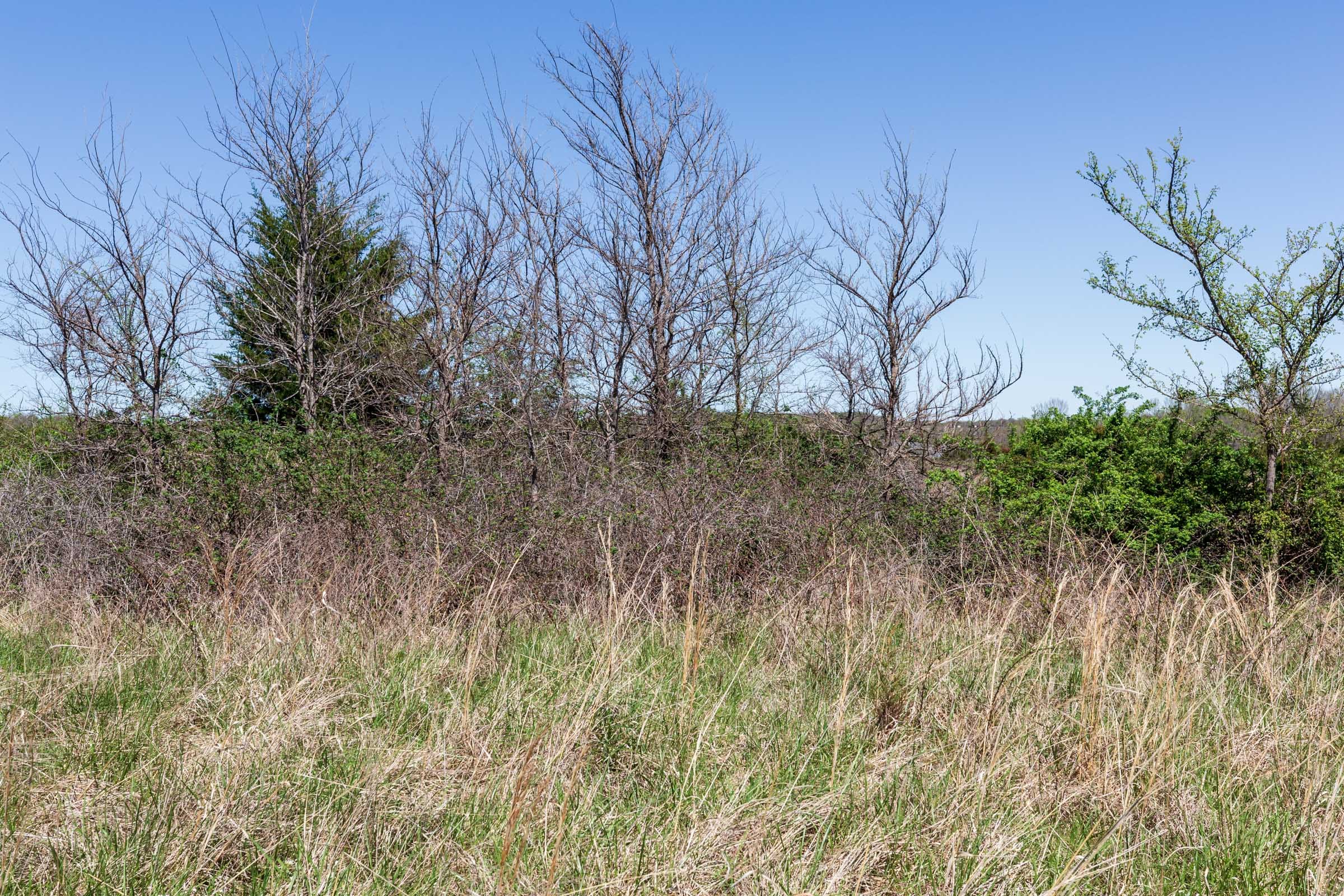 Prairie Grove Tract 24 photo 6