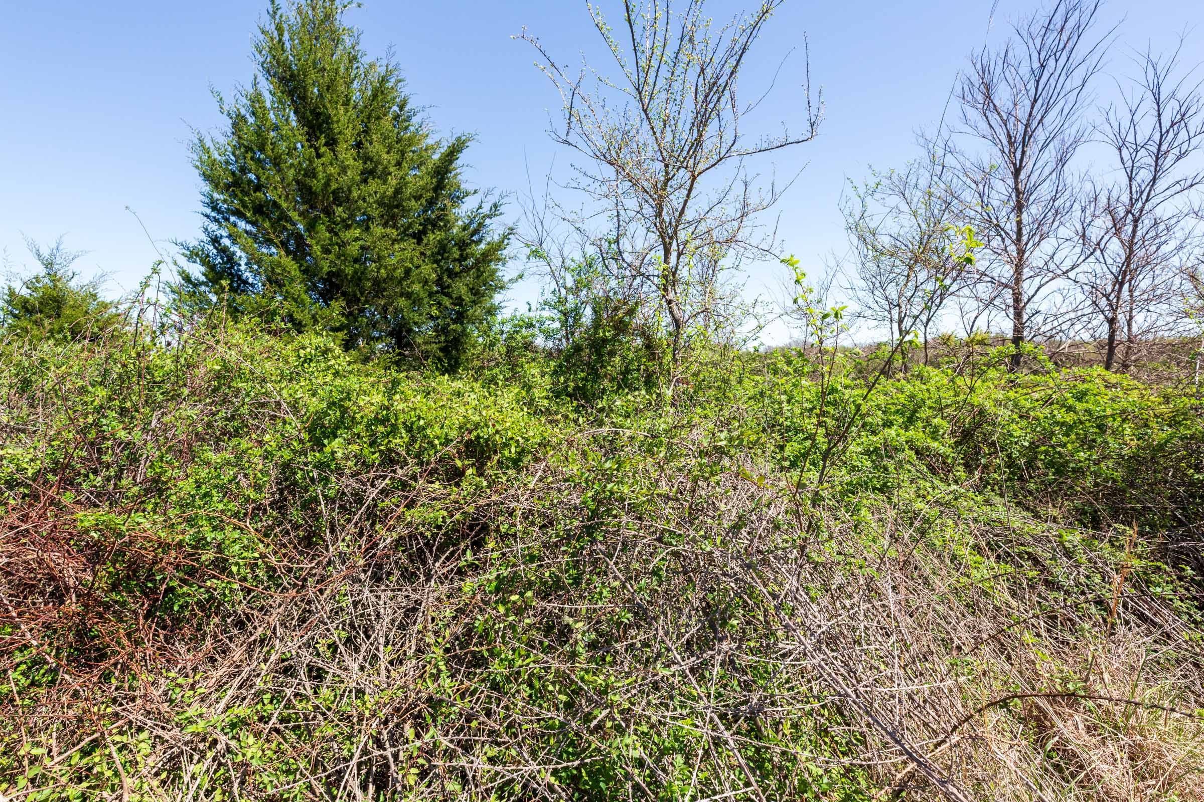 Prairie Grove Tract 24 photo 7