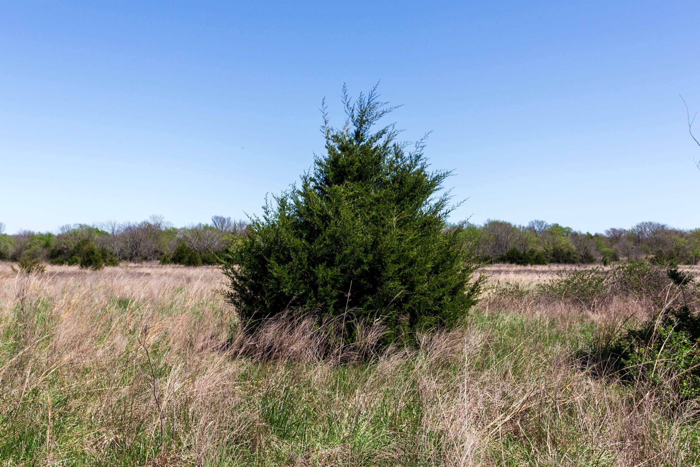 Prairie Grove Tract 24 photo 8