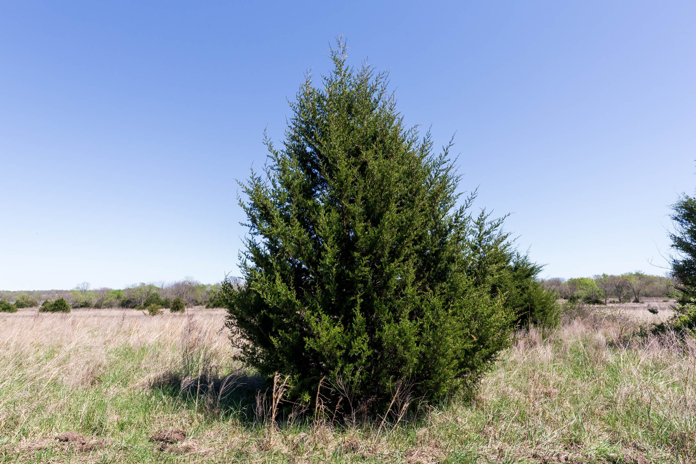 Prairie Grove Tract 24 photo 11