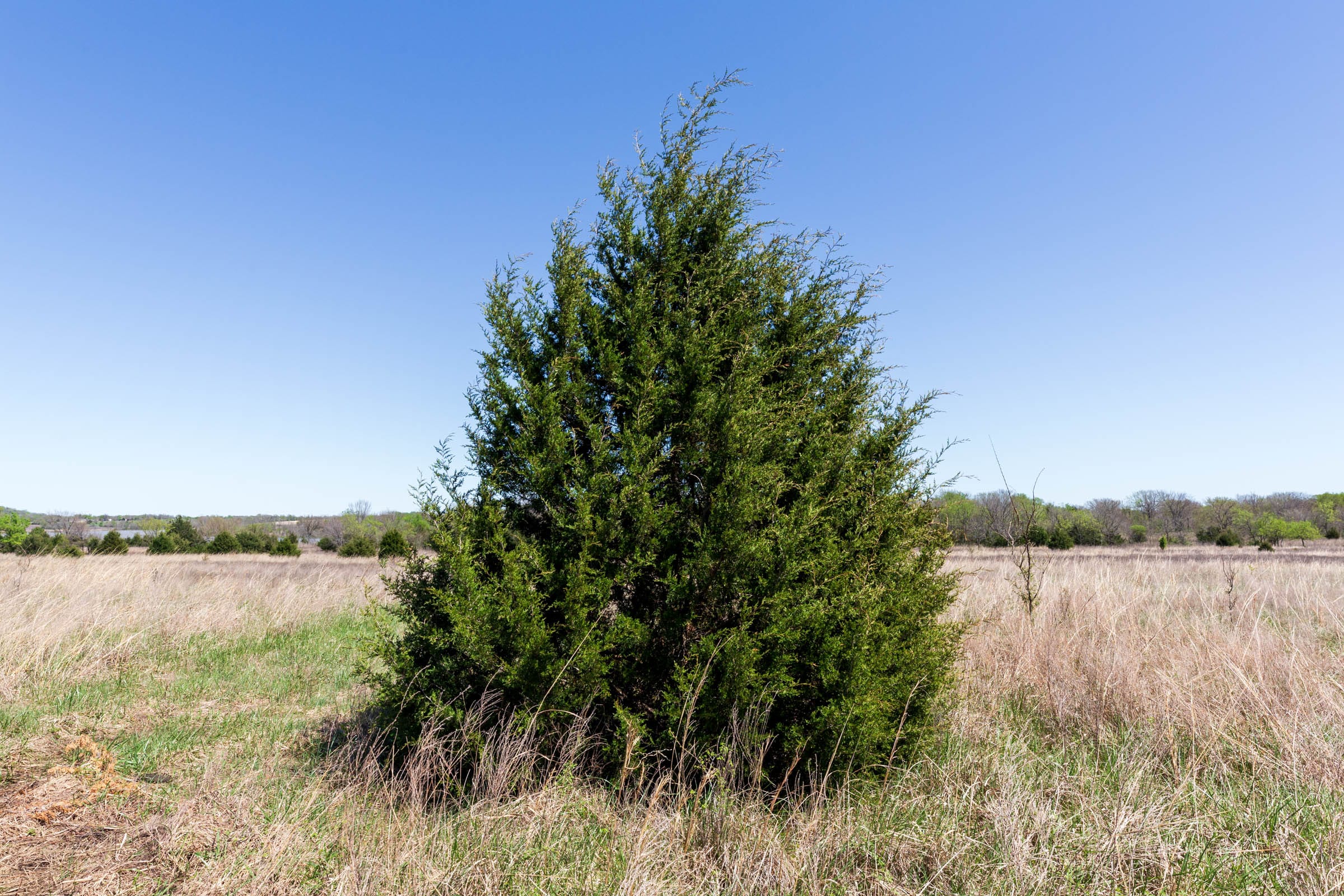 Prairie Grove Tract 24 photo 4