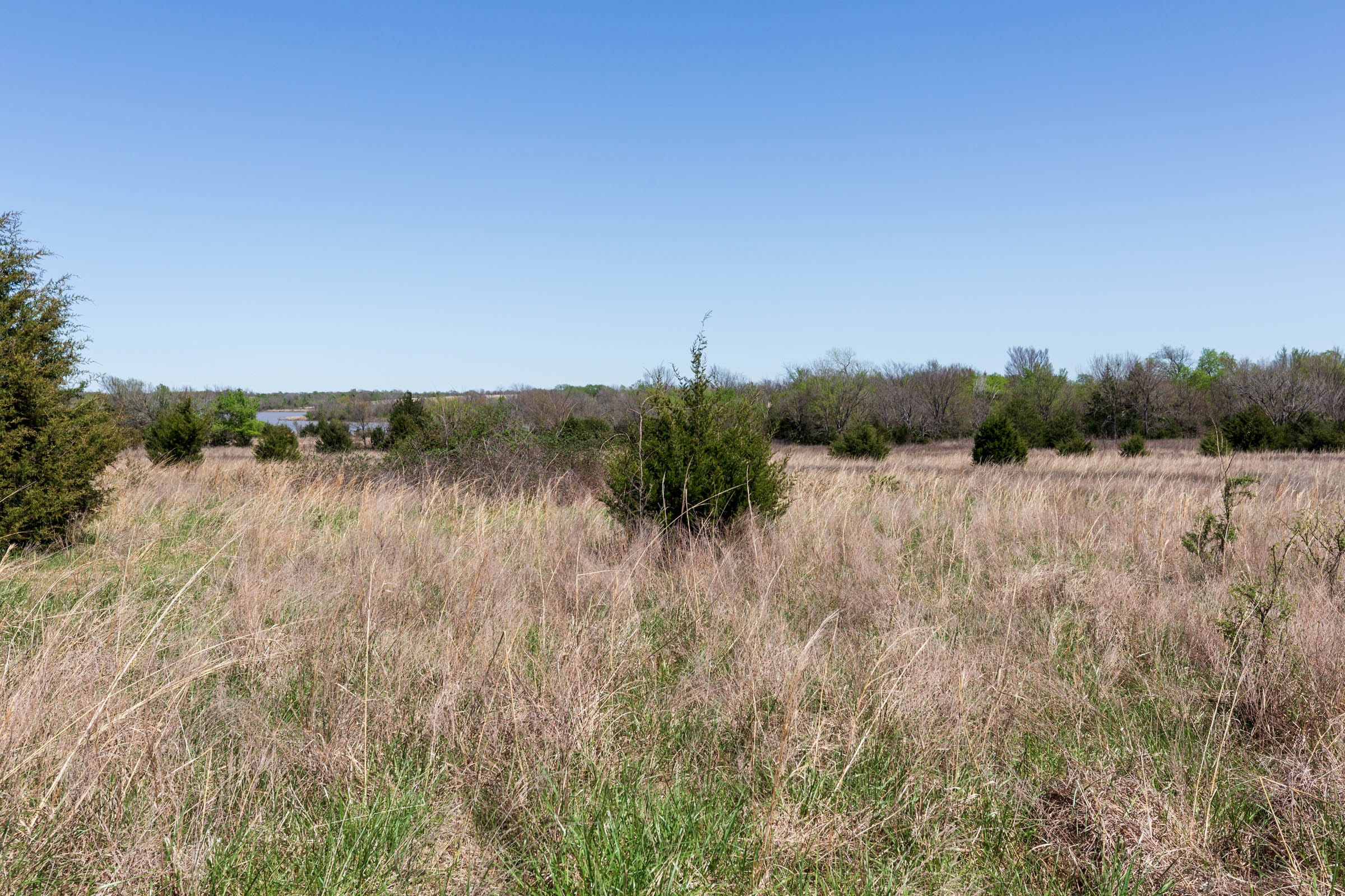 Prairie Grove Tract 24 photo 10