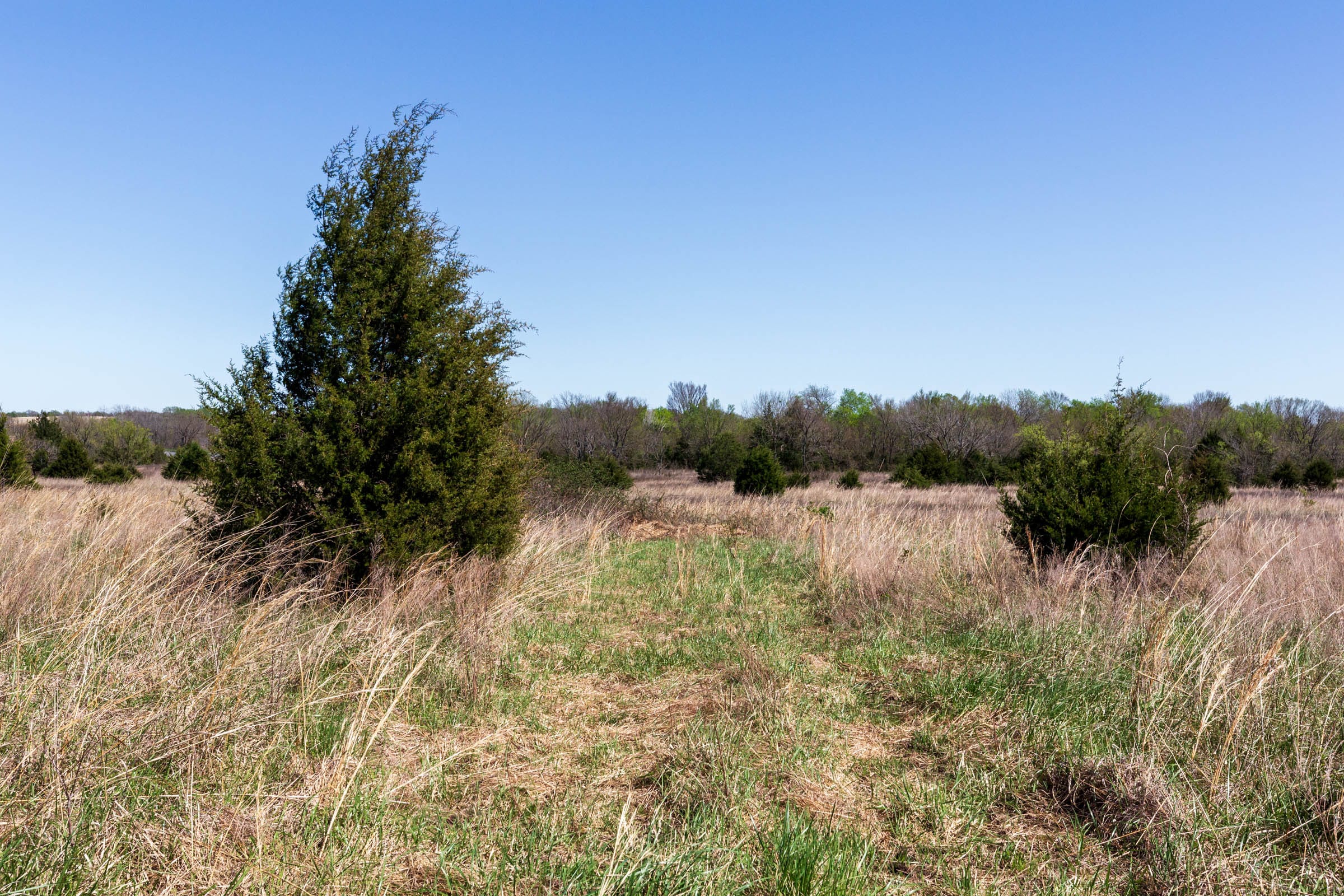 Prairie Grove Tract 24 photo 1