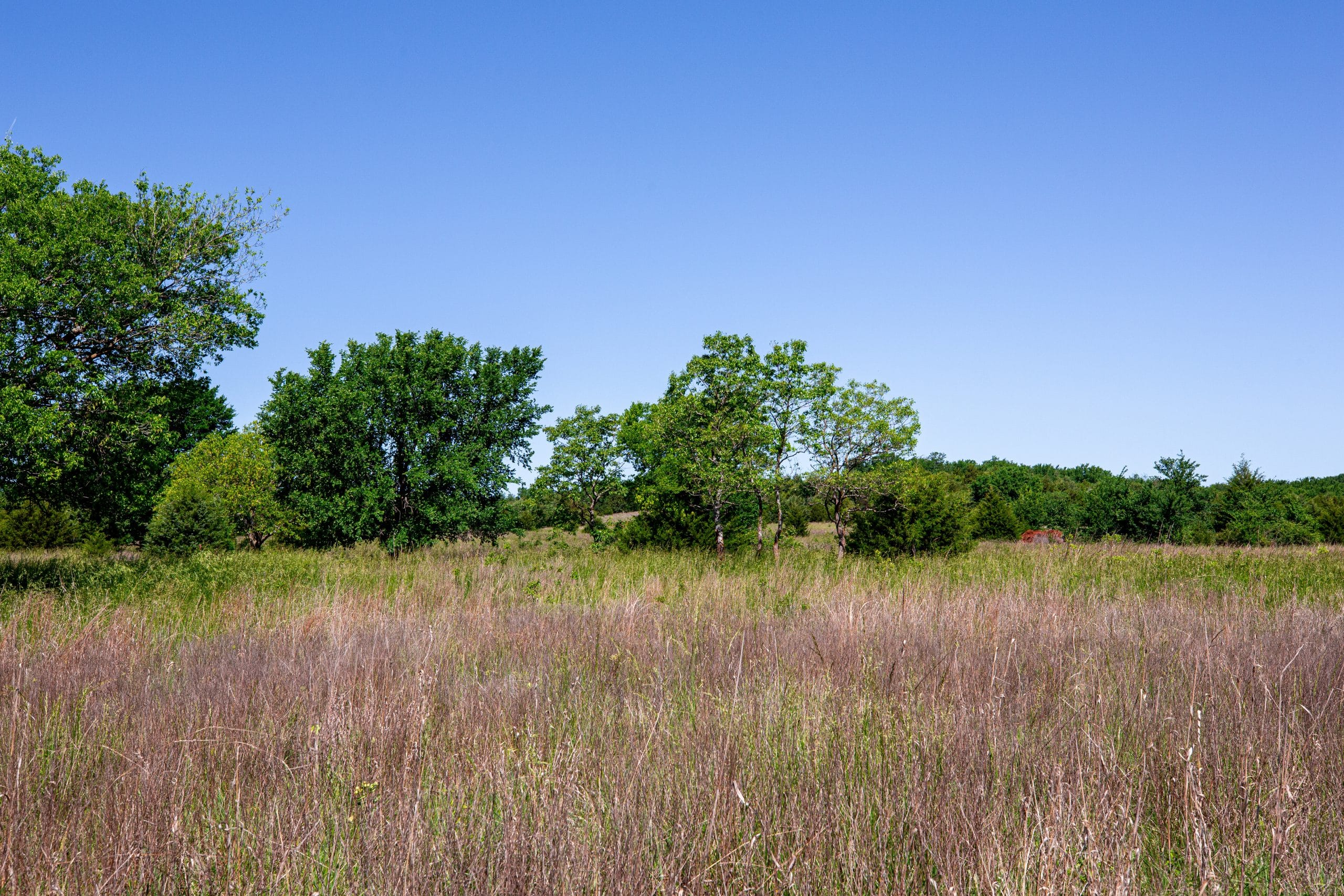 Prairie Grove Tract 24 photo 9