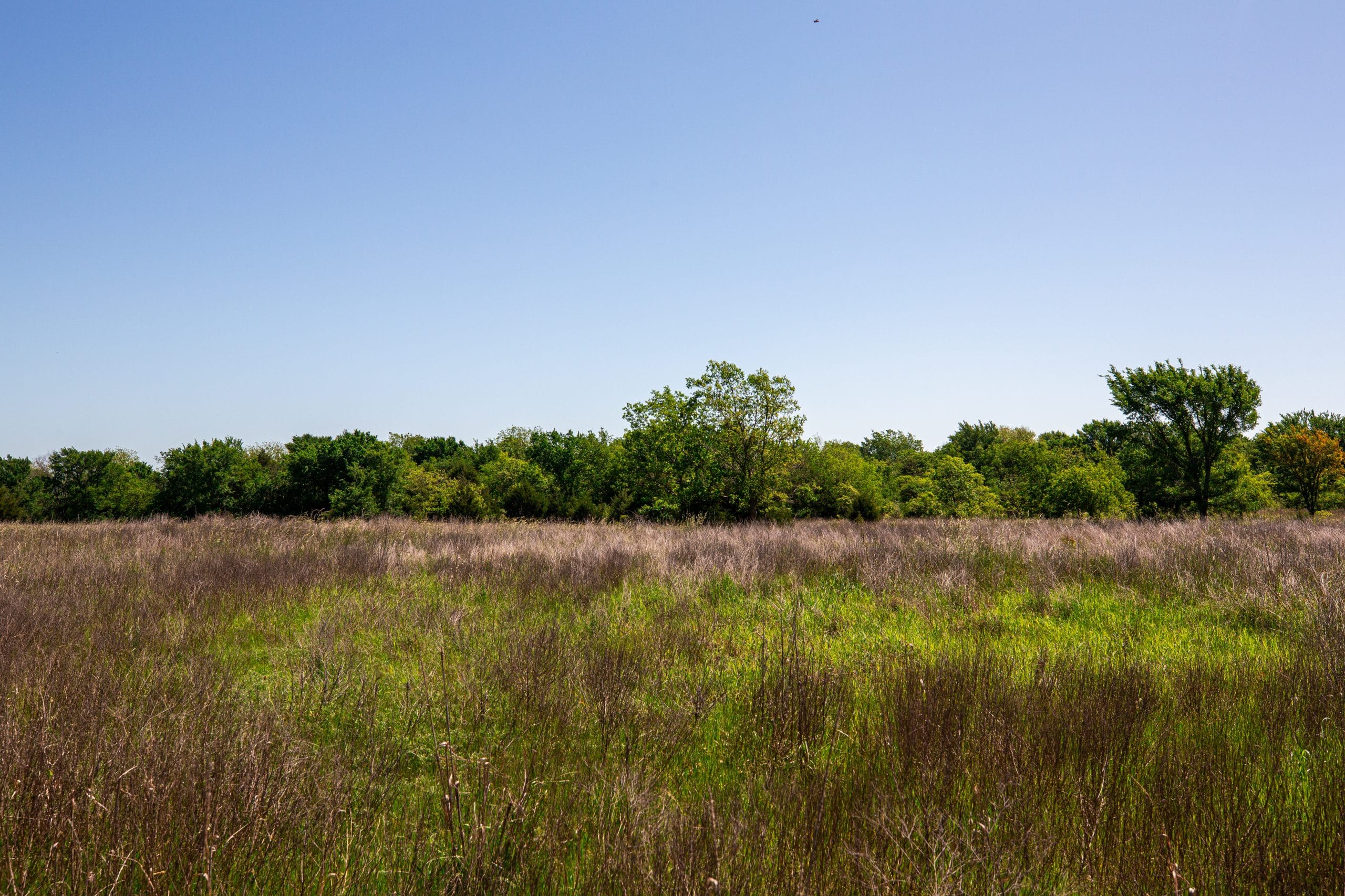 Prairie Grove Tract 24 photo 5