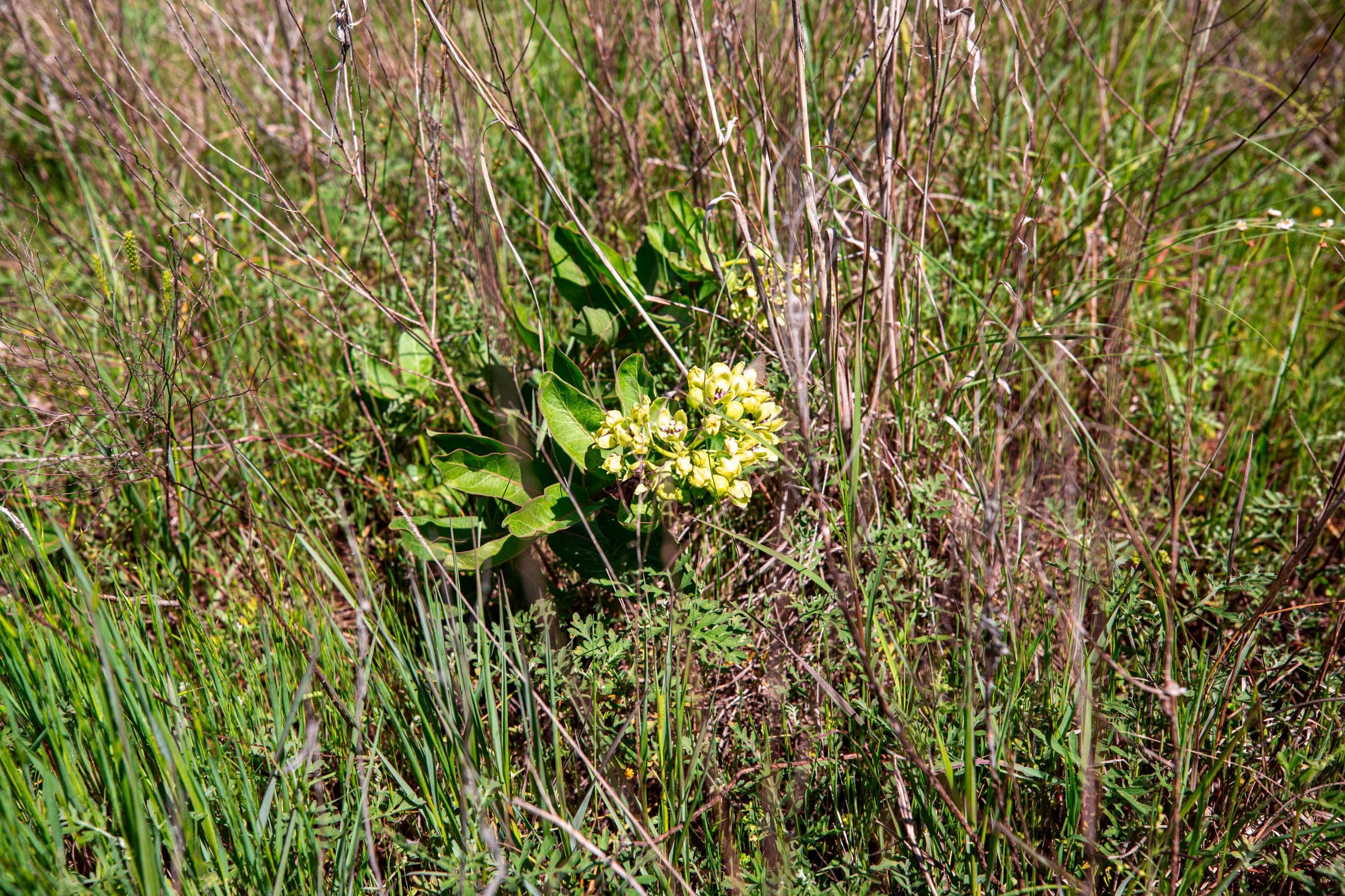 Prairie Grove Tract 24 photo 12
