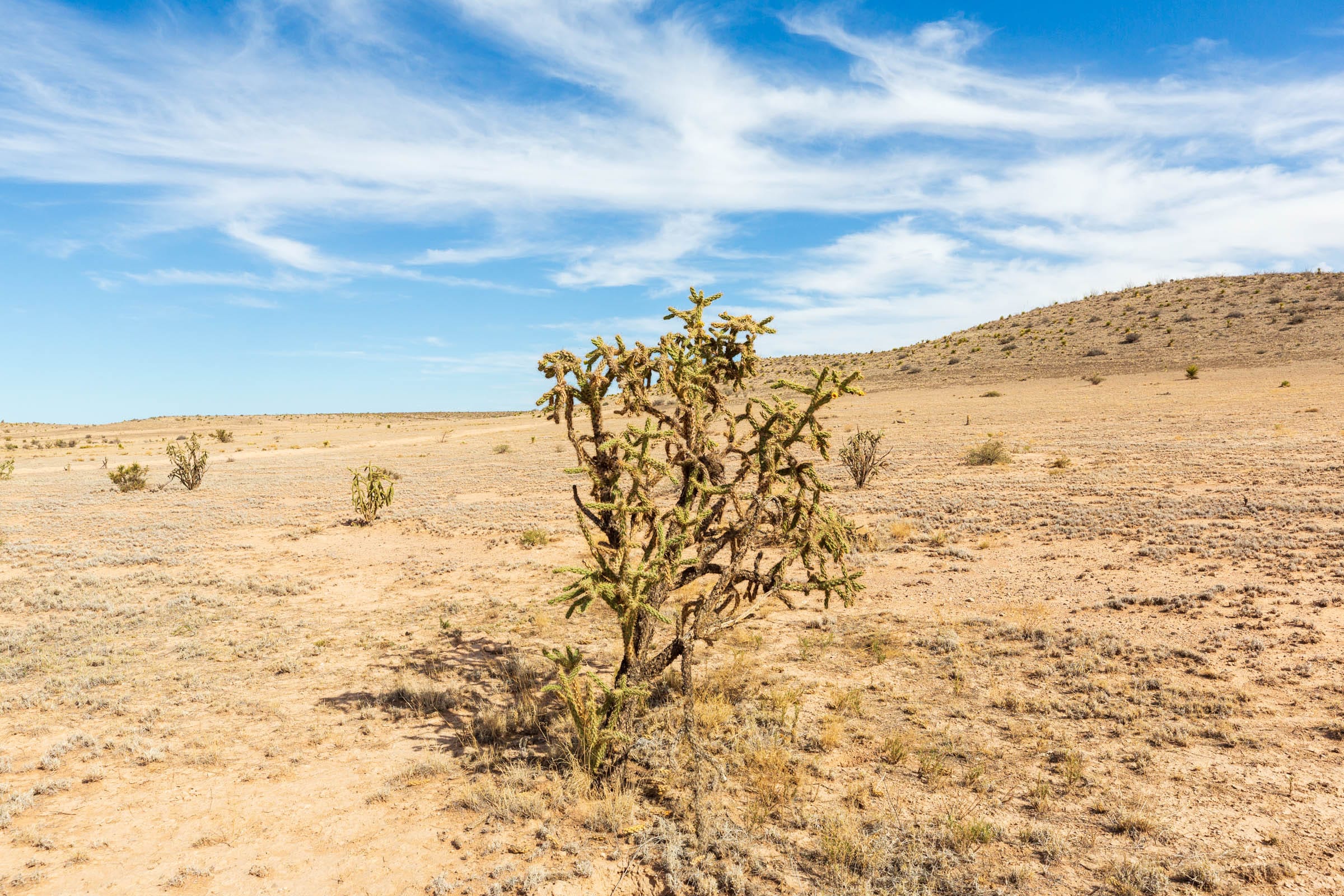 Sunrise Ranches Phase III Tract 94 photo 3