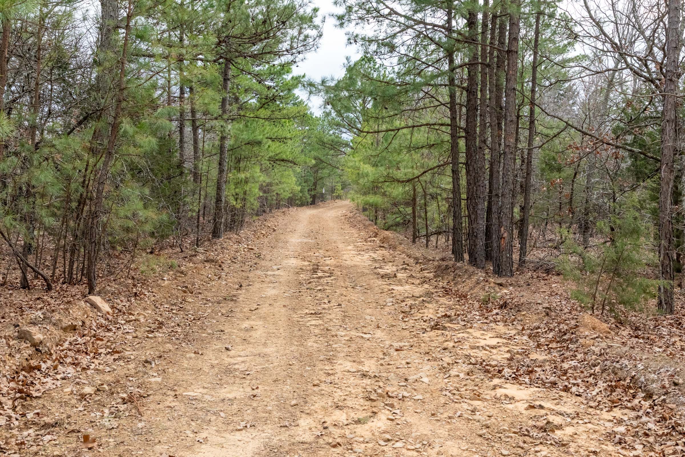 Stone Bridge Phase III Tract 161 photo 2