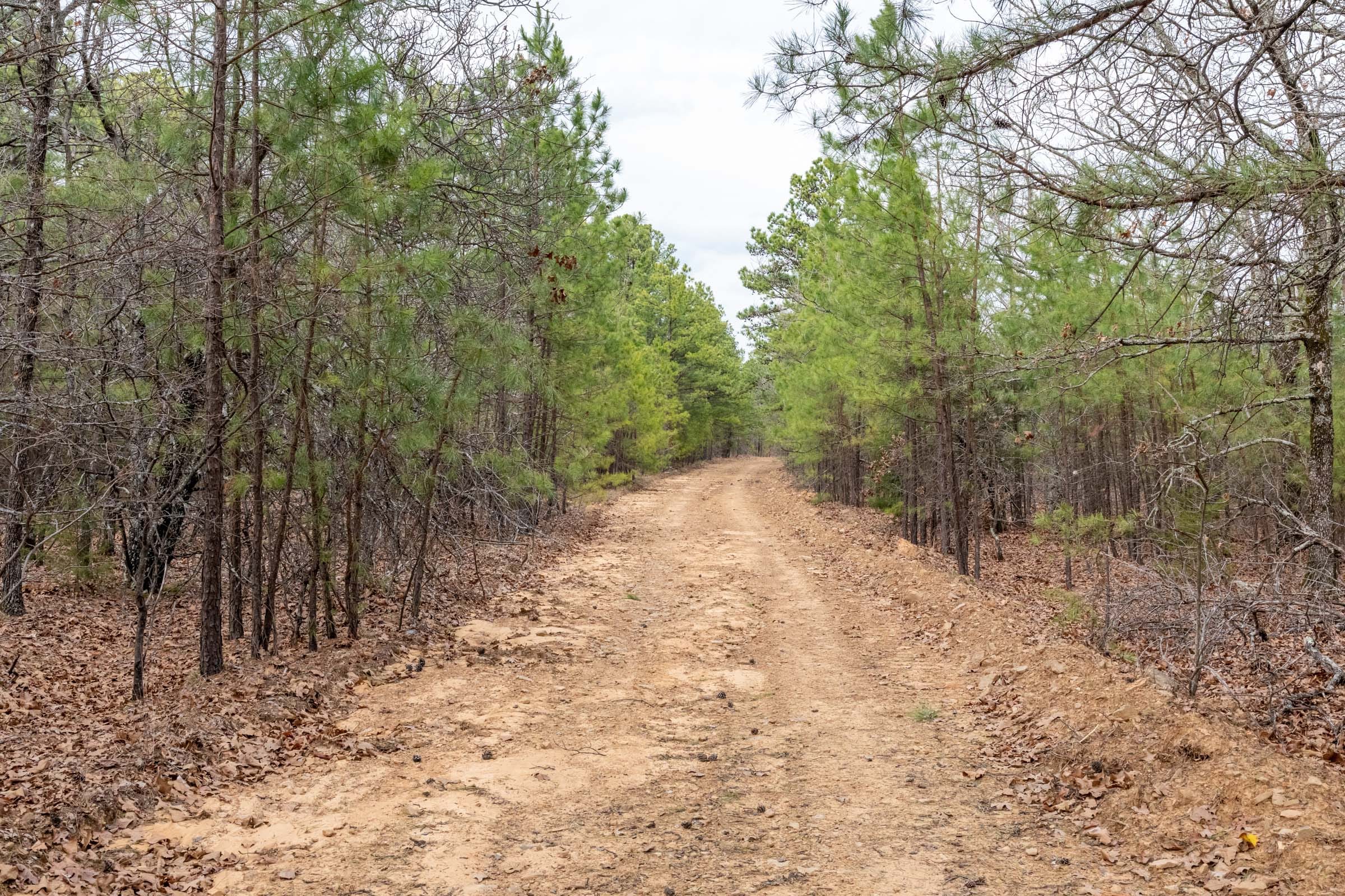 Stone Bridge Phase III Tract 161 photo 8