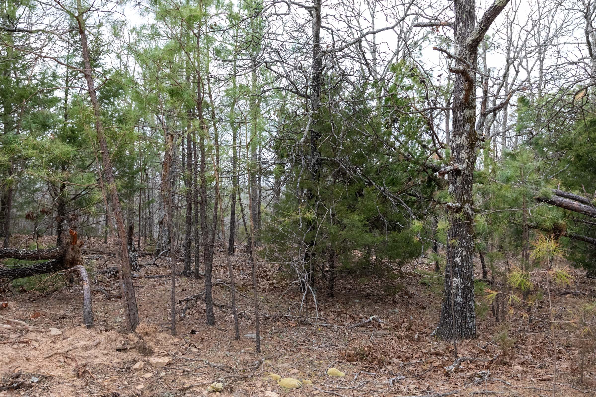 Stone Bridge Phase III Tract 161 photo 10