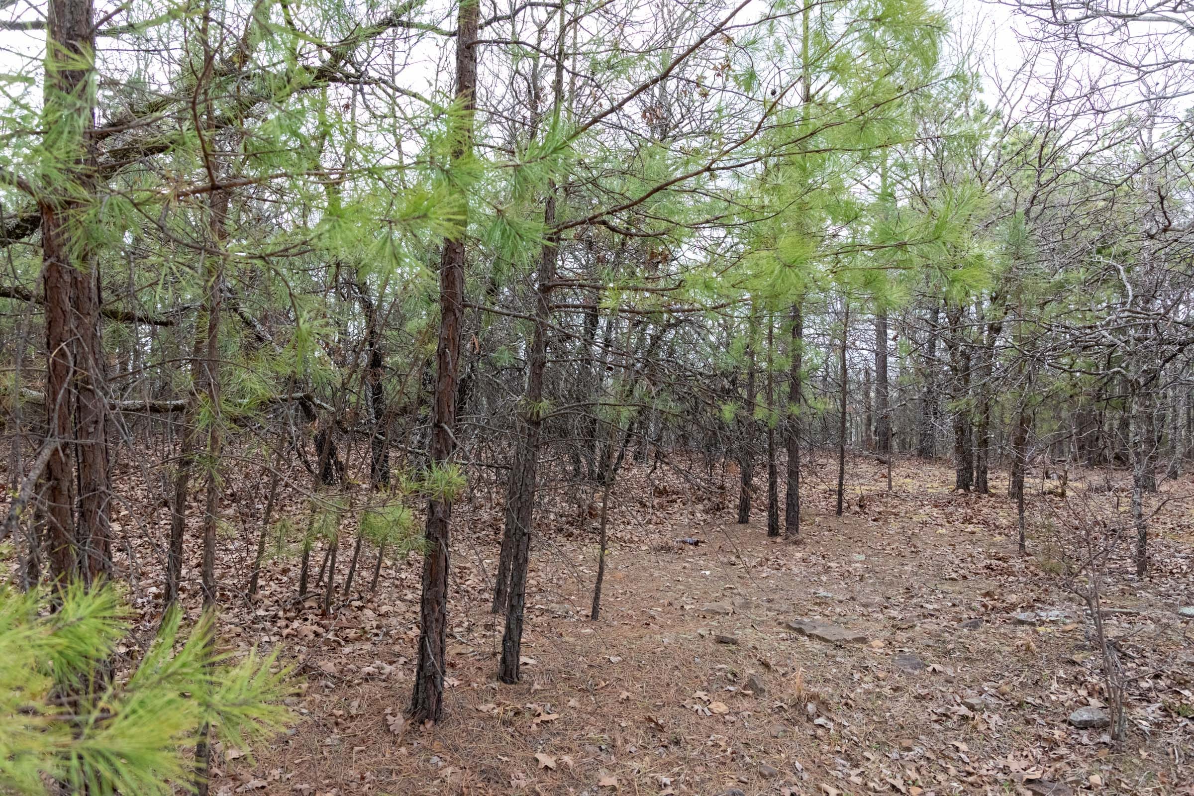 Stone Bridge Phase III Tract 161 photo 11