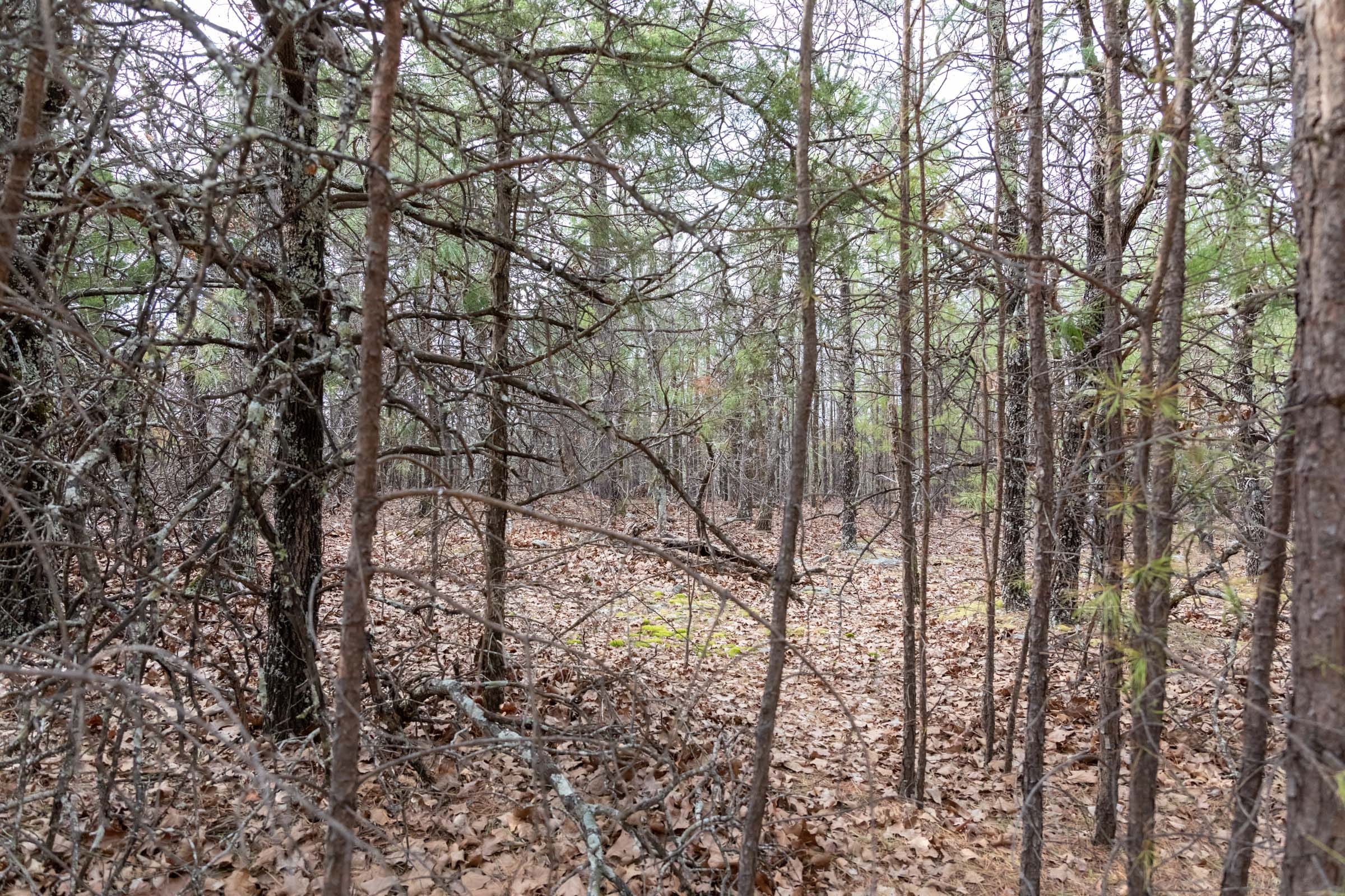 Stone Bridge Phase III Tract 161 photo 12