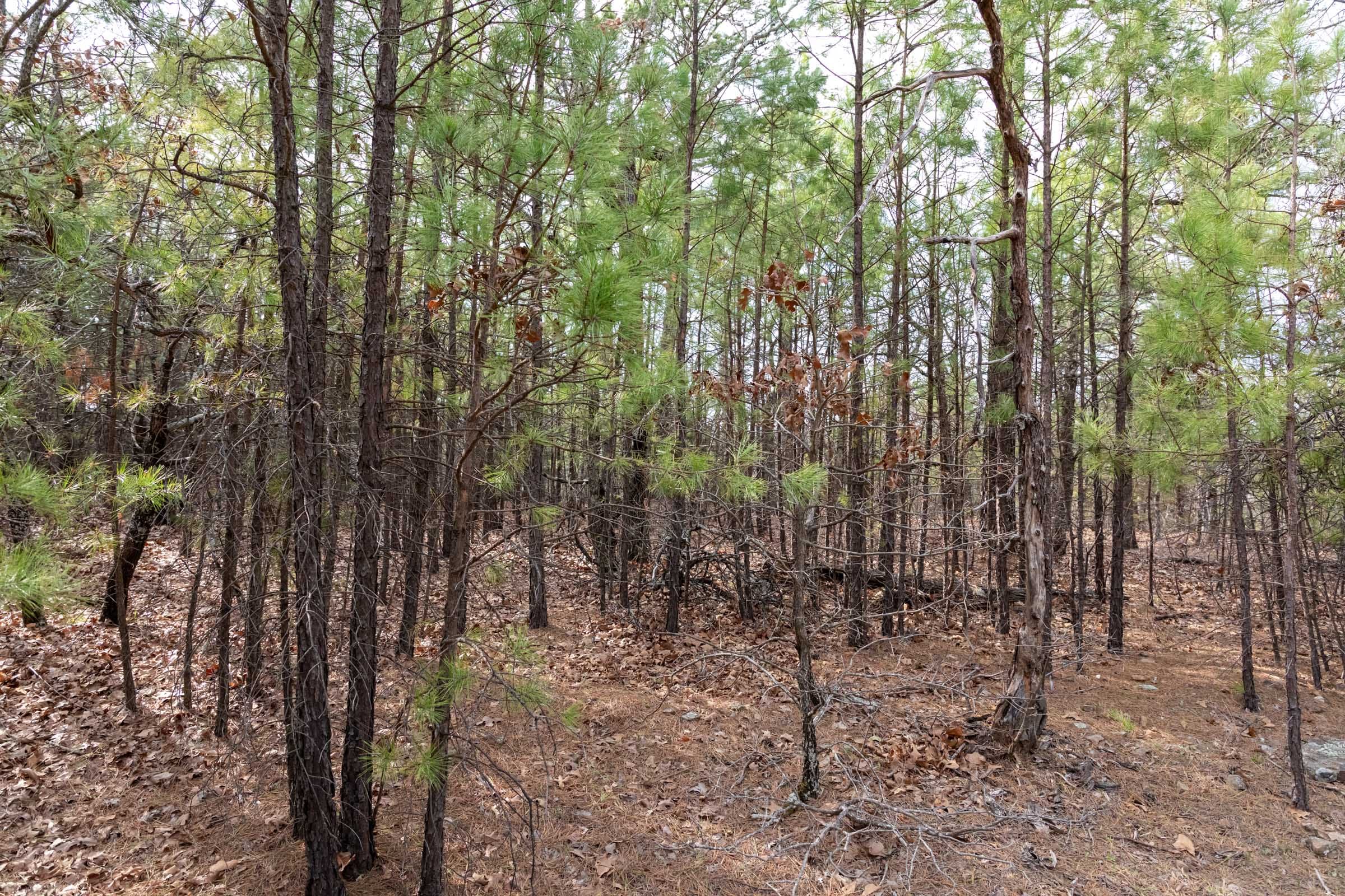 Stone Bridge Phase III Tract 161 photo 13