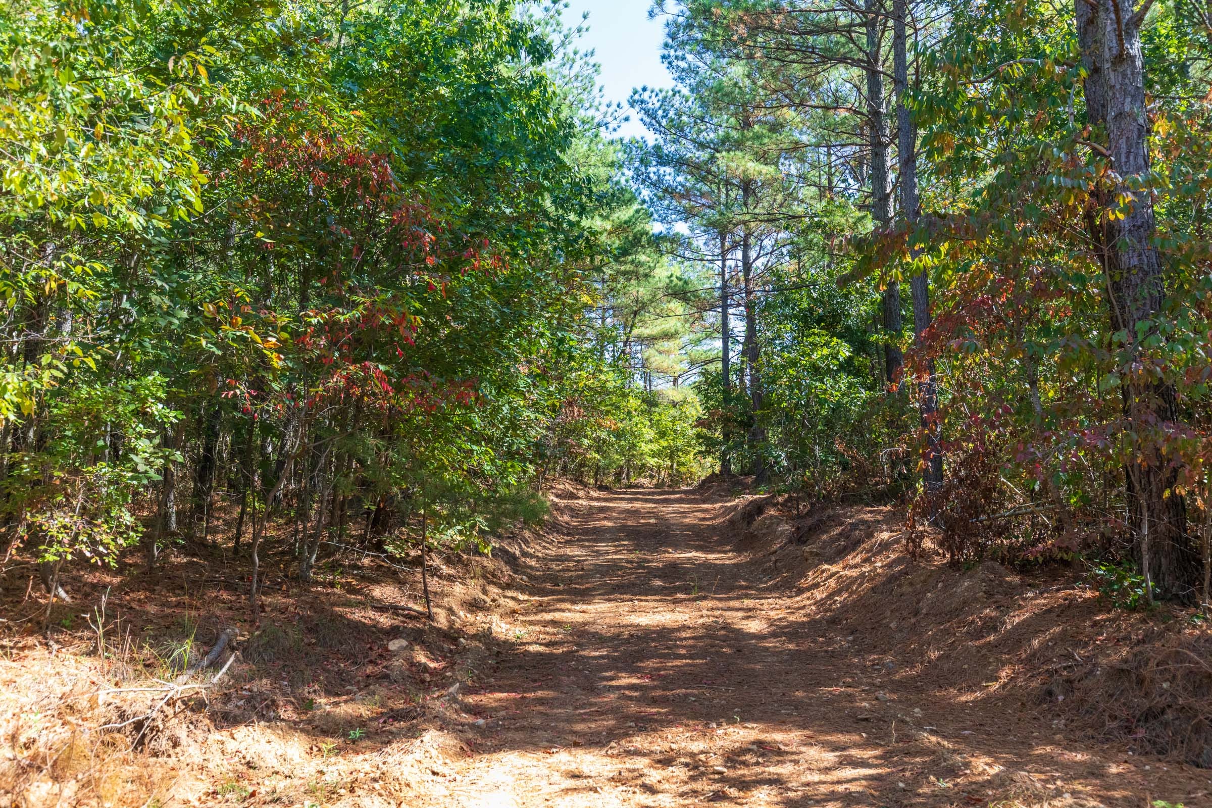 Bear Brook Tract 8 photo 1