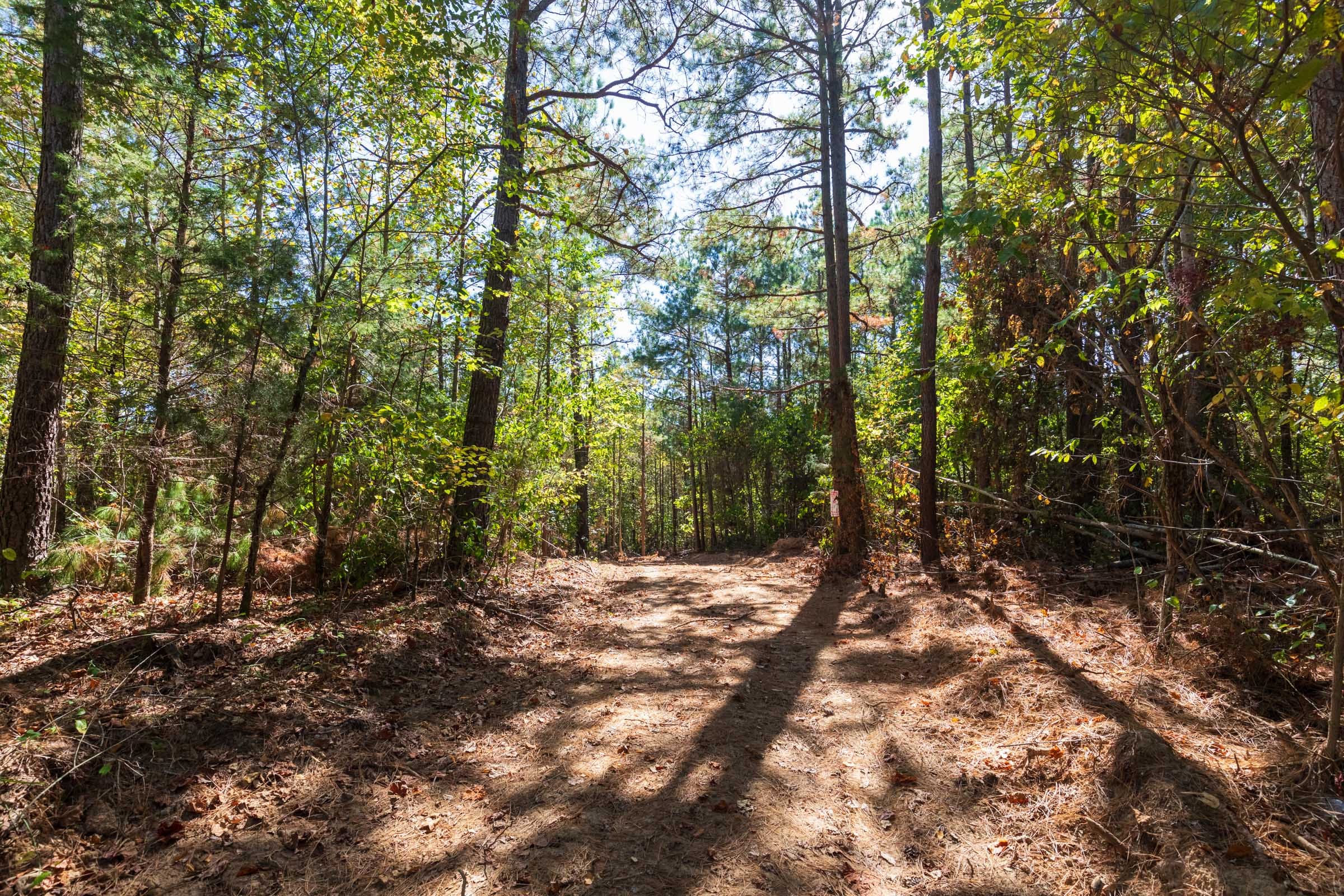 Bear Brook Tract 8 photo 4