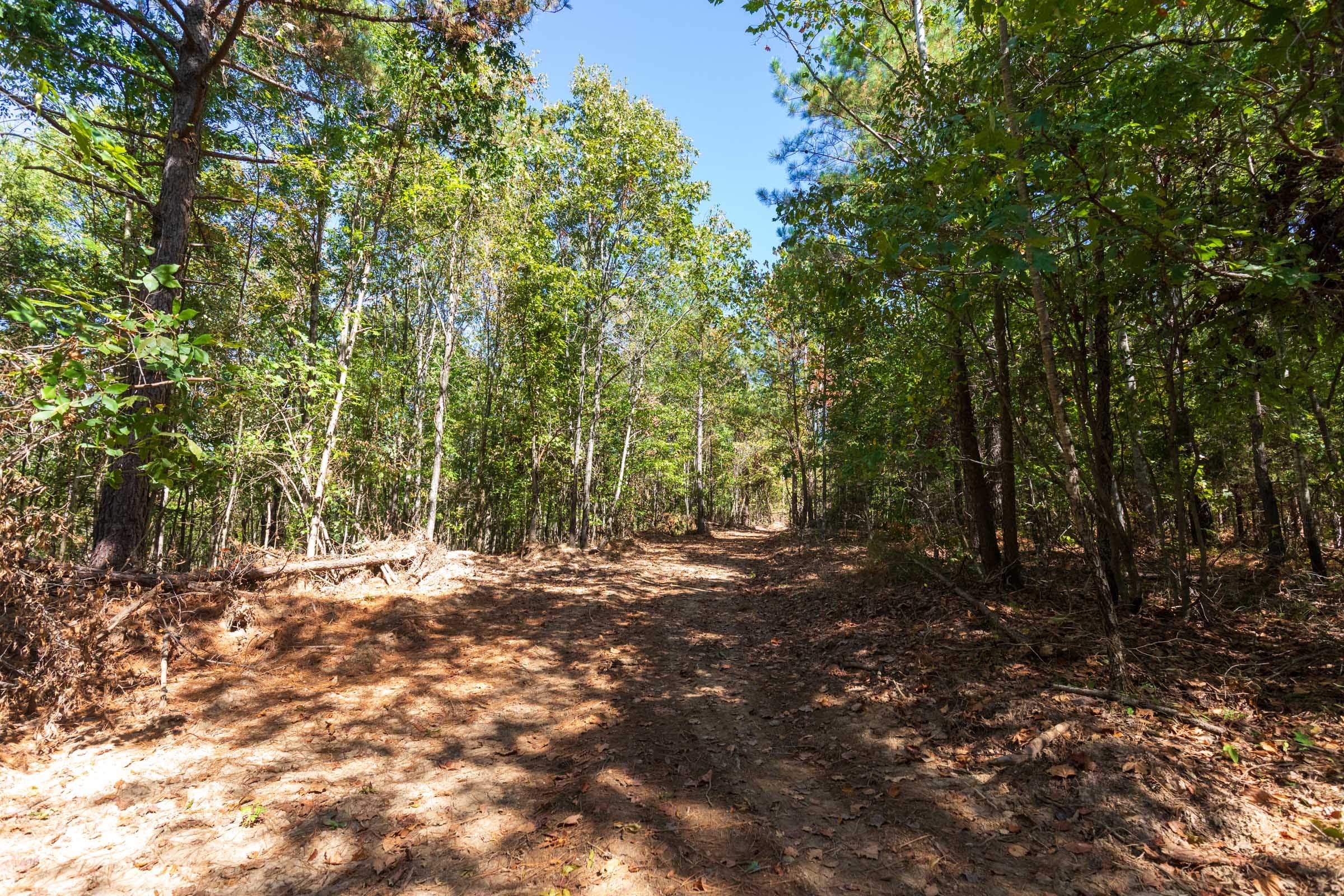 Bear Brook Tract 8 photo 7