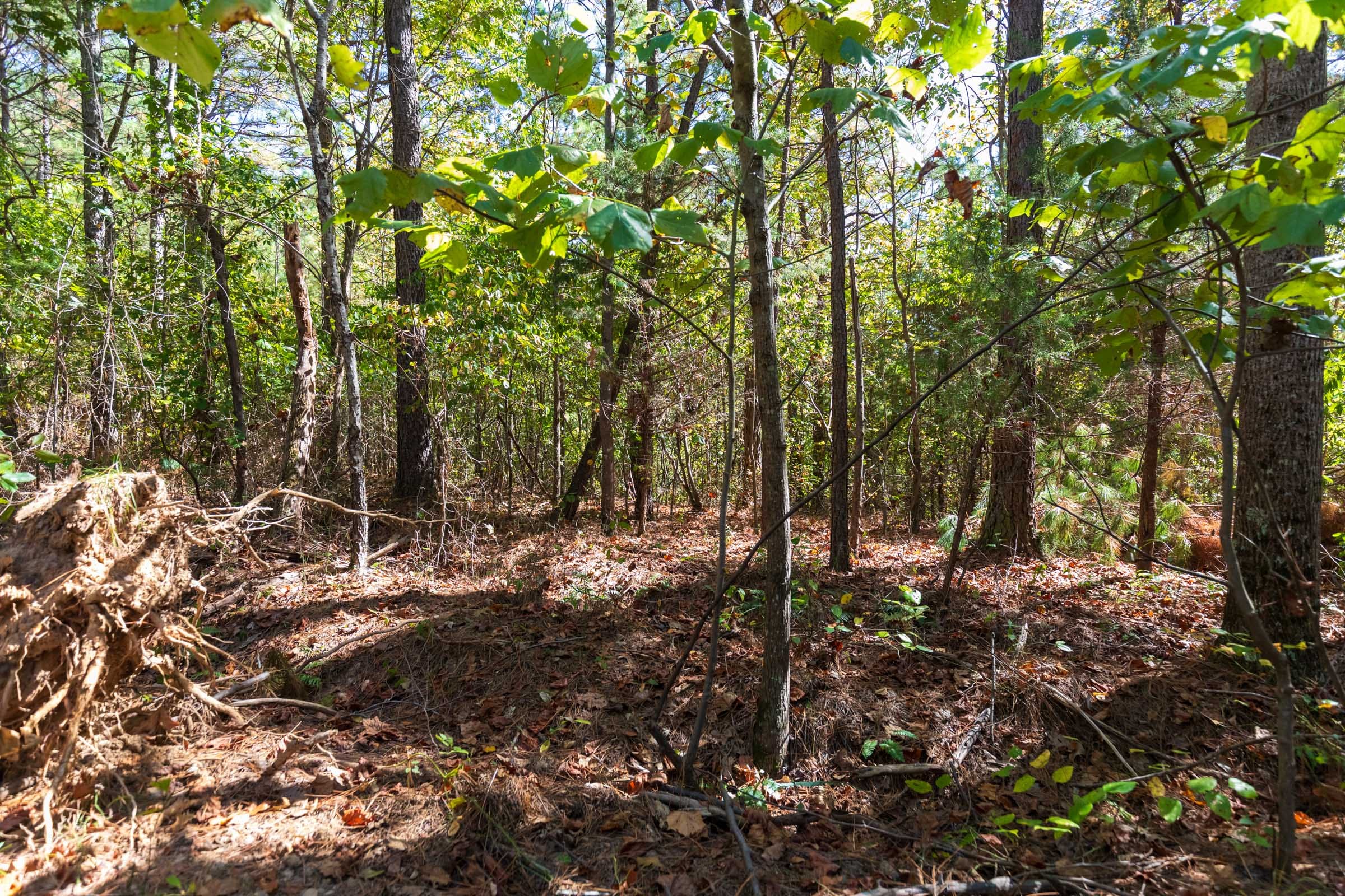 Bear Brook Tract 8 photo 11