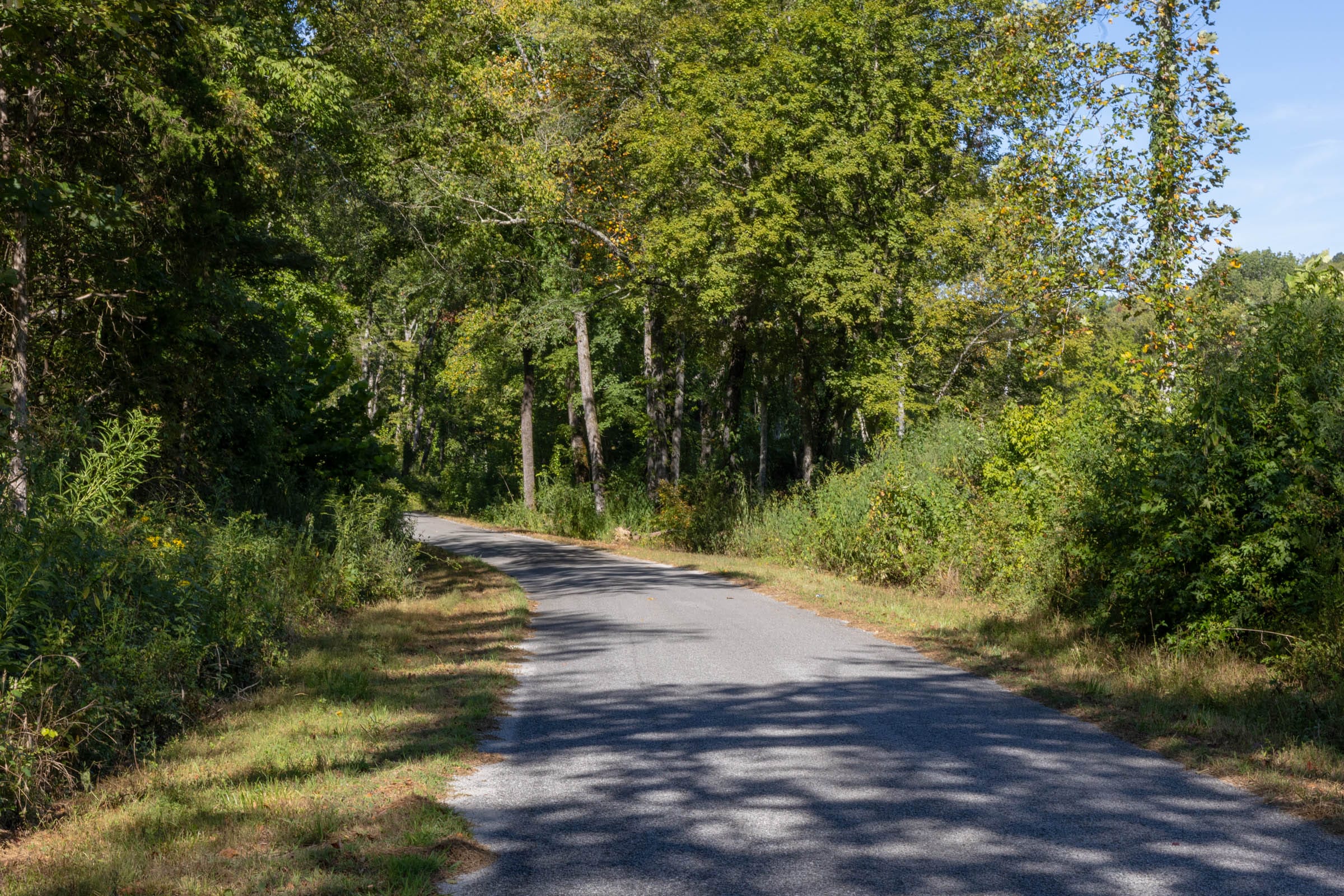 Big White Oak Tract 13 photo 4