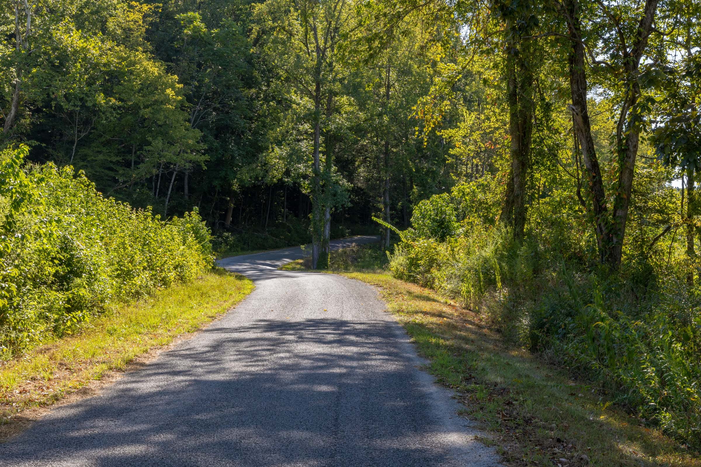 Big White Oak Tract 13 photo 1