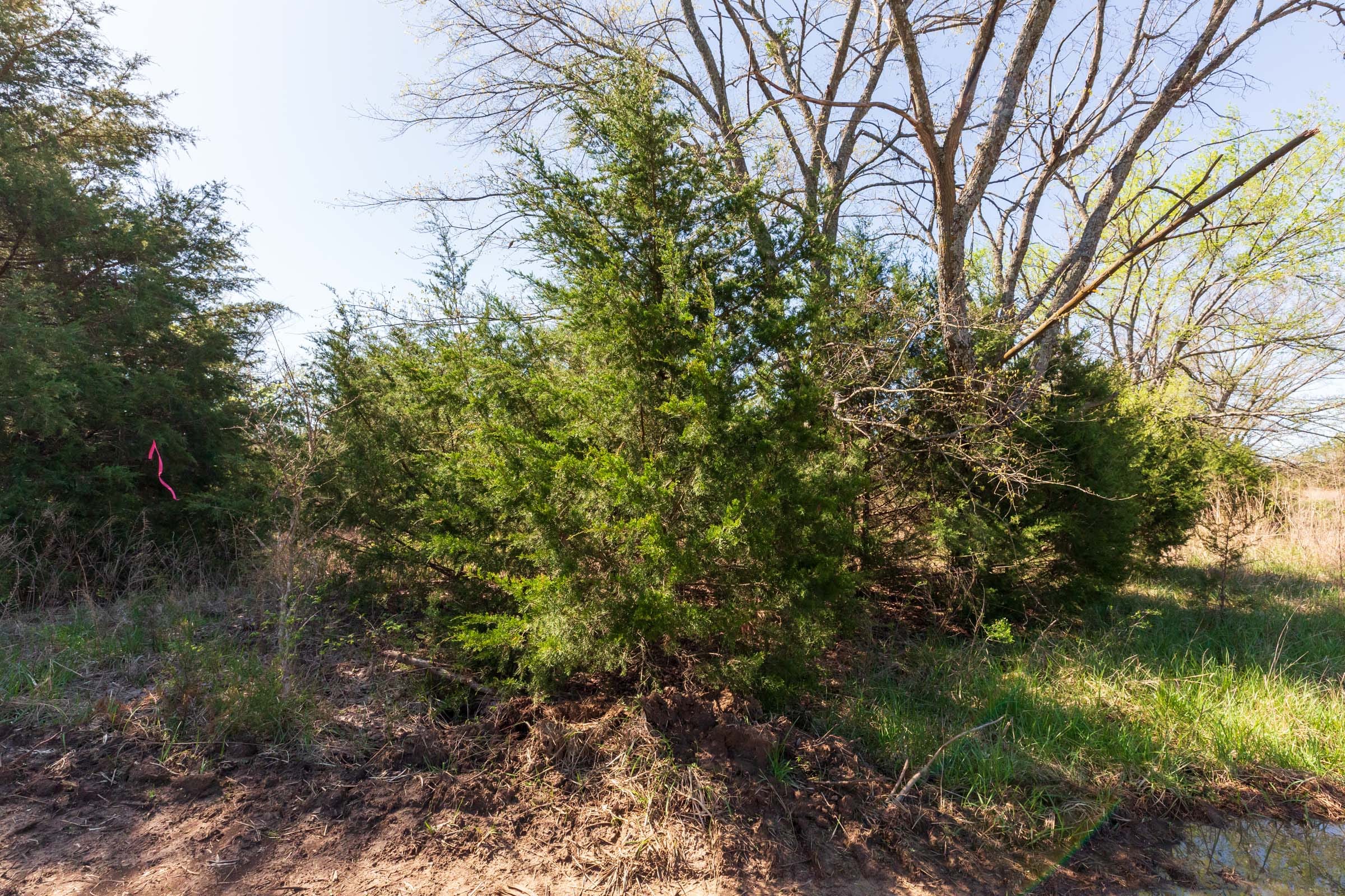 Prairie Grove Tract 21 photo 6