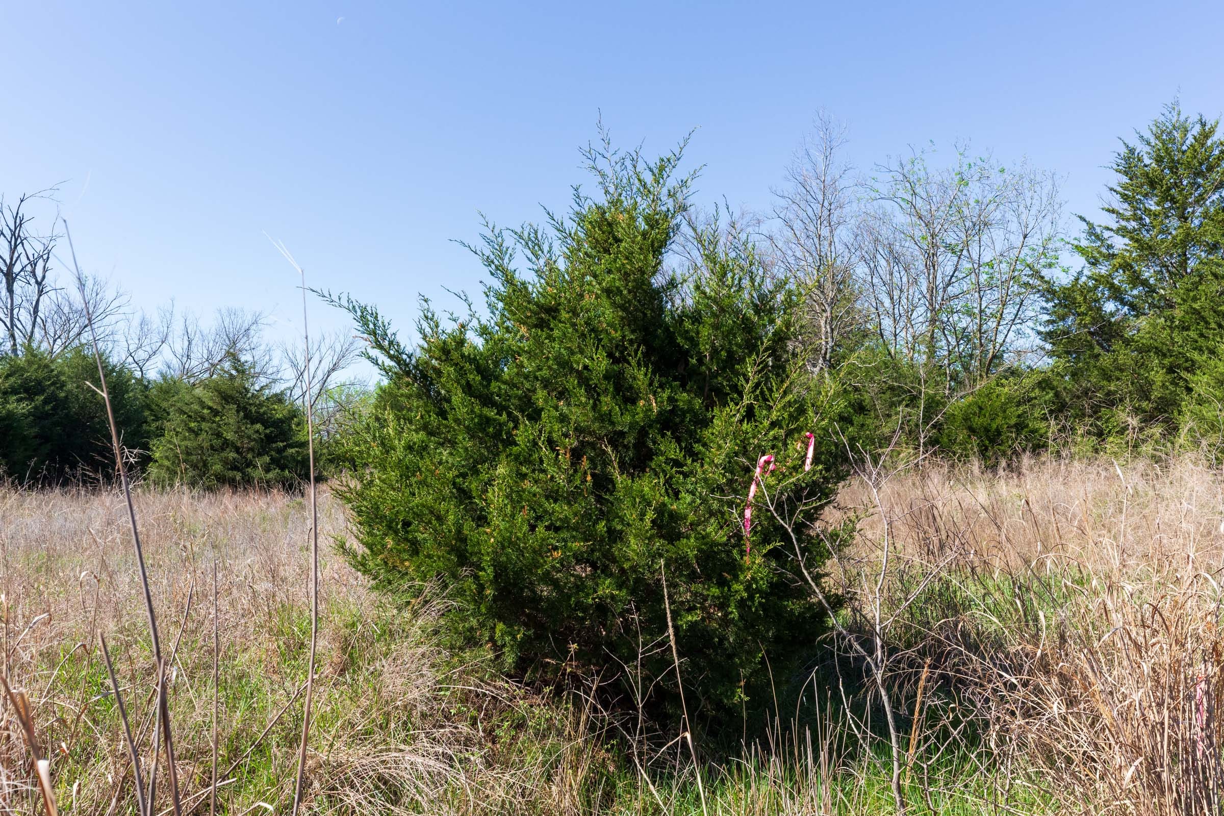 Prairie Grove Tract 21 photo 10