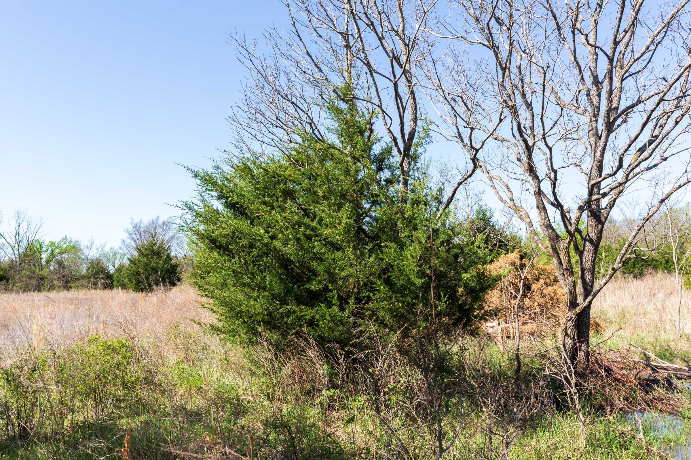 Prairie Grove Tract 21 photo 13