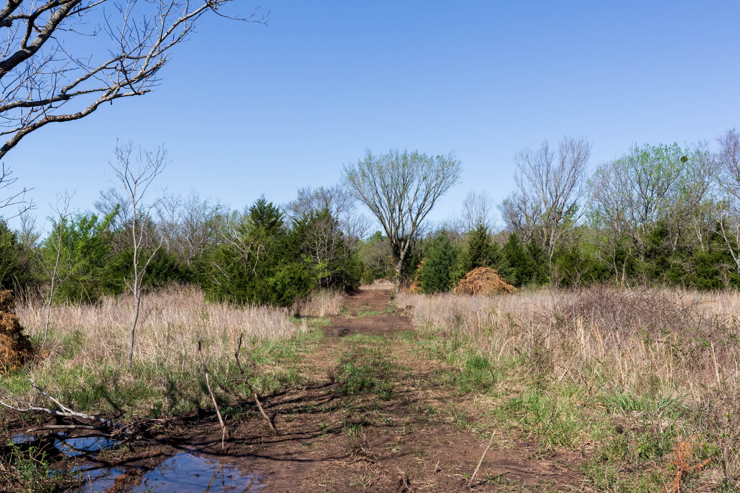 Prairie Grove Tract 21 photo 1