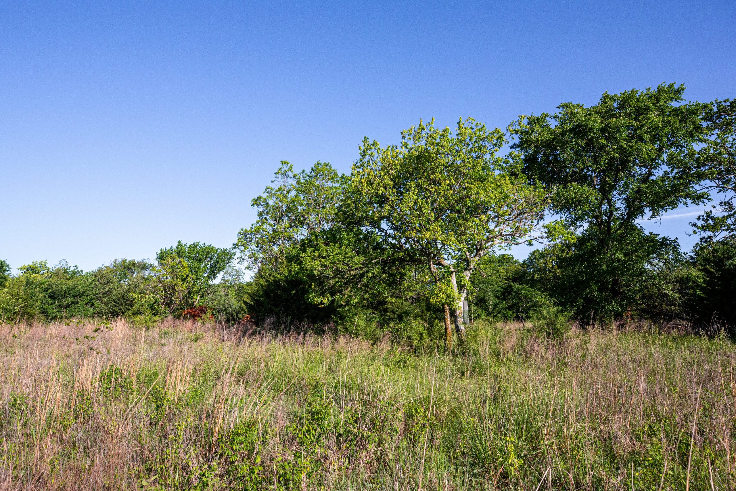 Prairie Grove Tract 21 photo 14